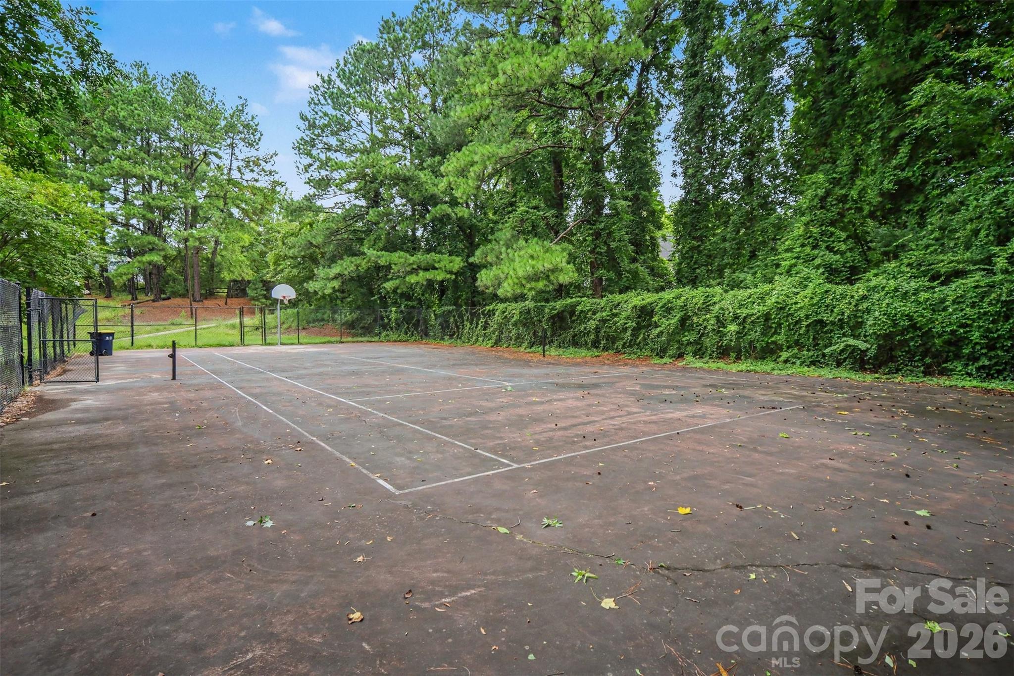 8500 Woodhill Manor Court — Charlotte