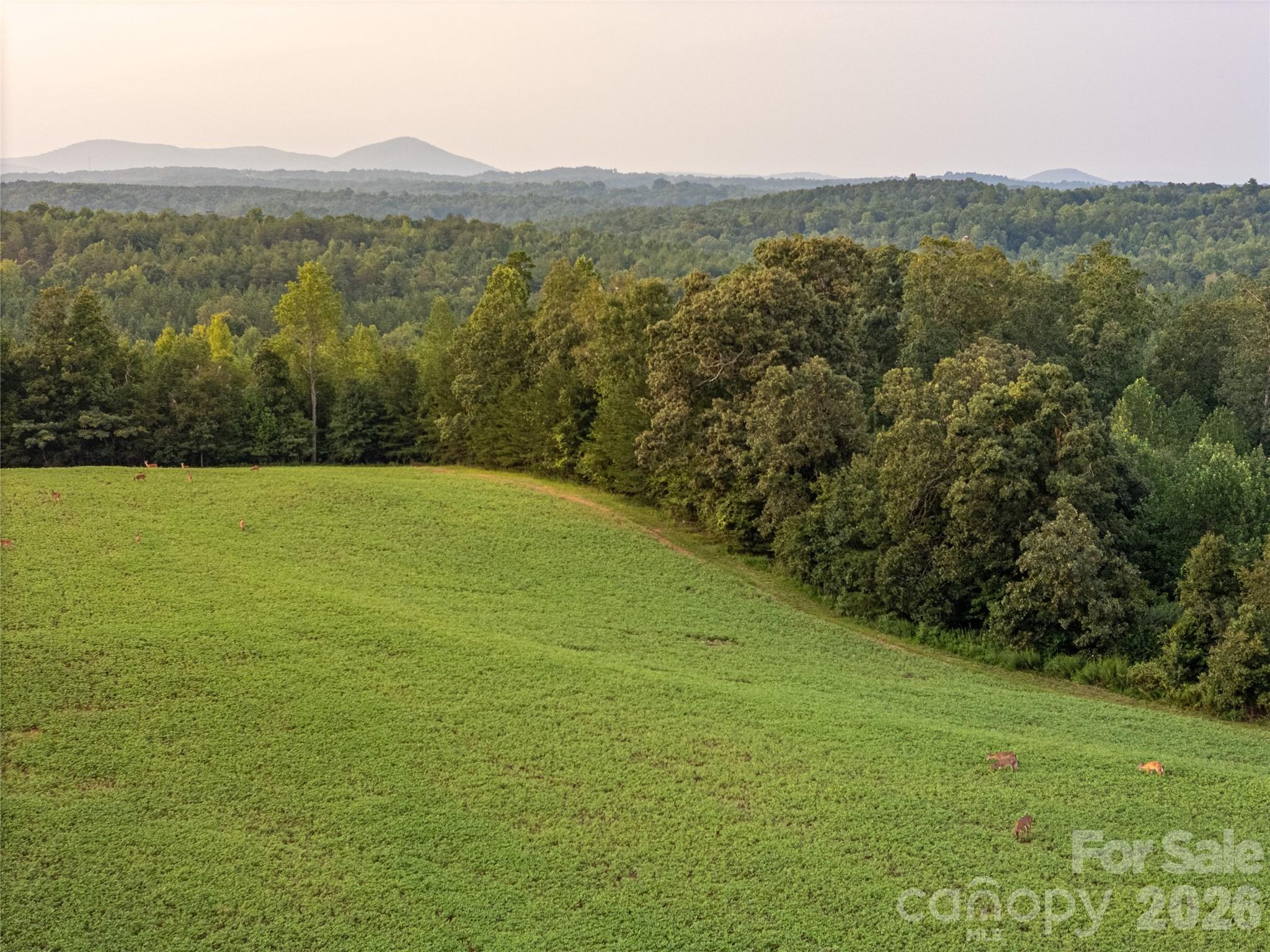 4013 NC Hwy 18 Highway — Vale
