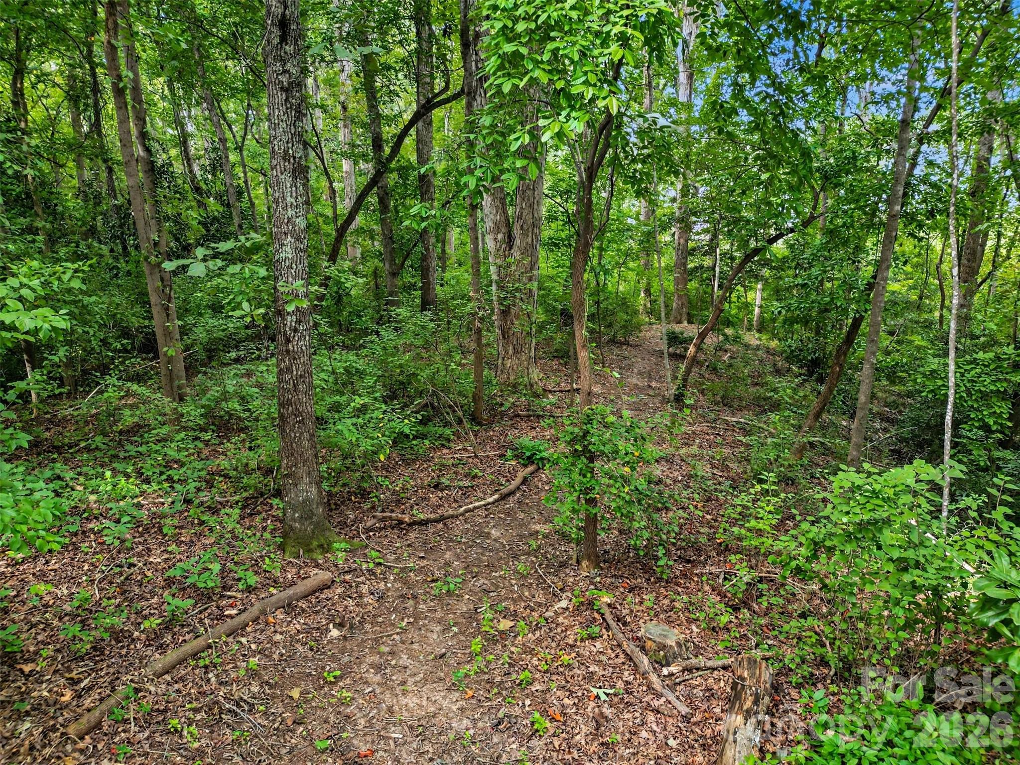 1042 Rosewood Drive — Dallas