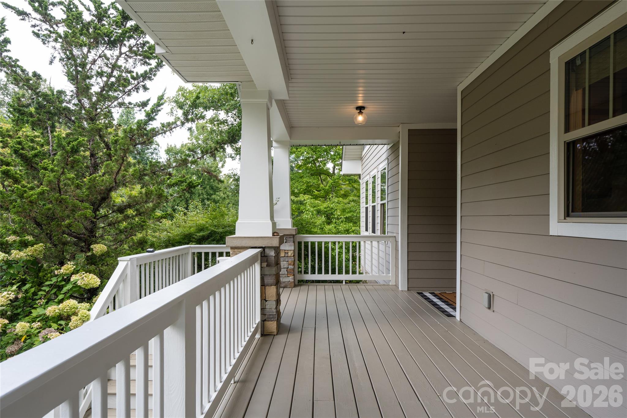 22 Sparkle Dun Drive — Biltmore Lake