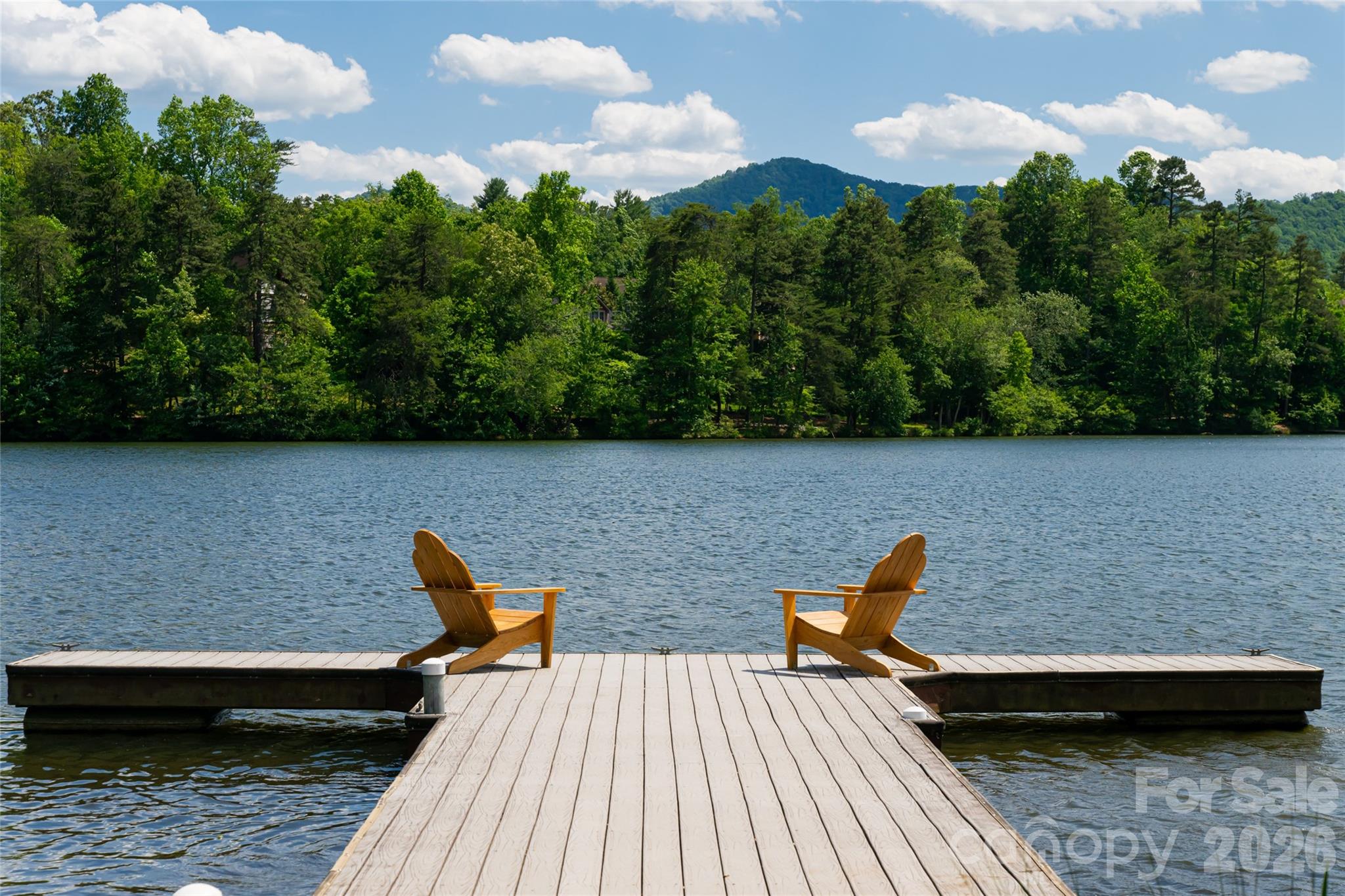 22 Sparkle Dun Drive — Biltmore Lake