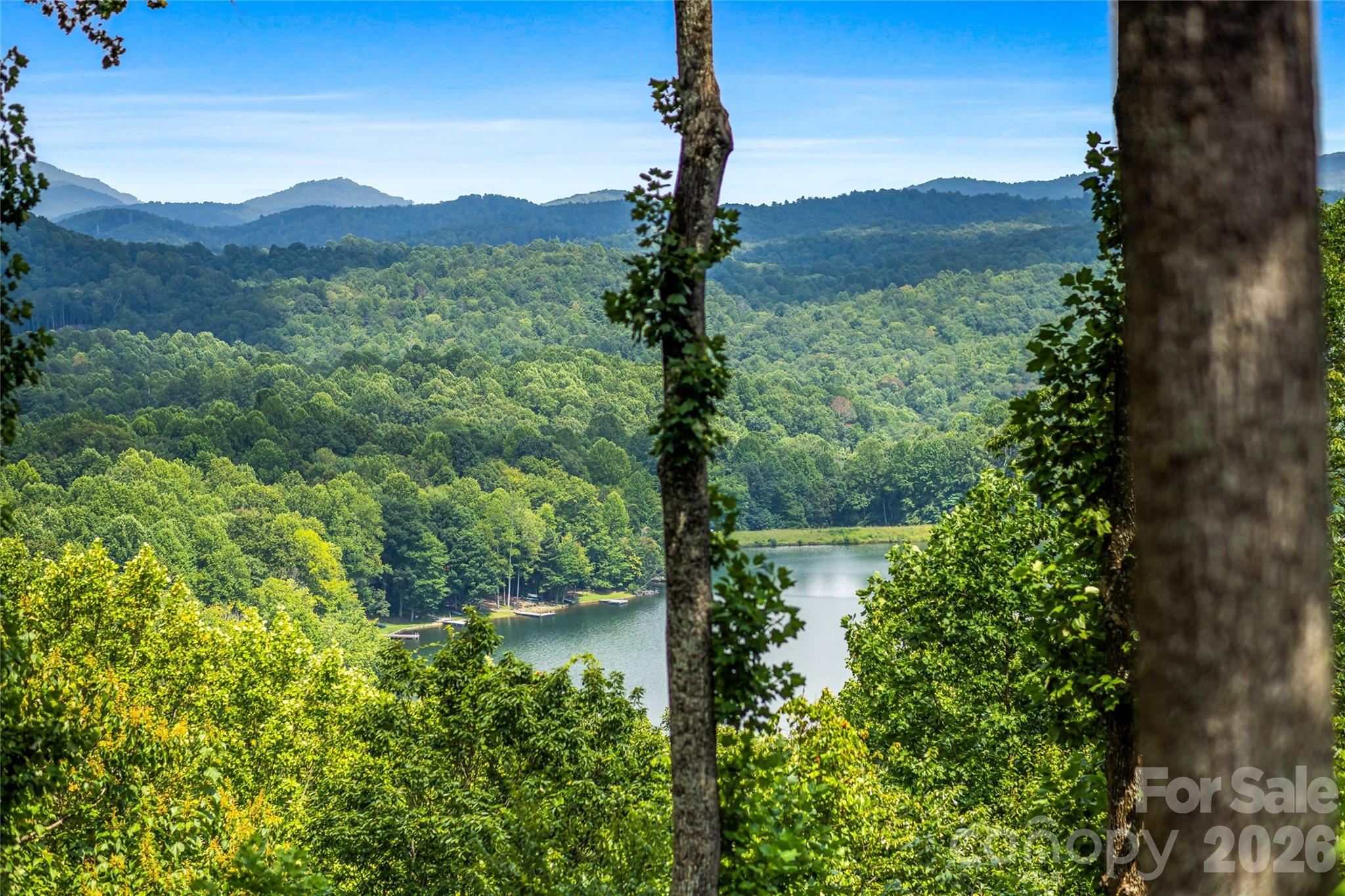 600 Tanglewood Lane — Saluda