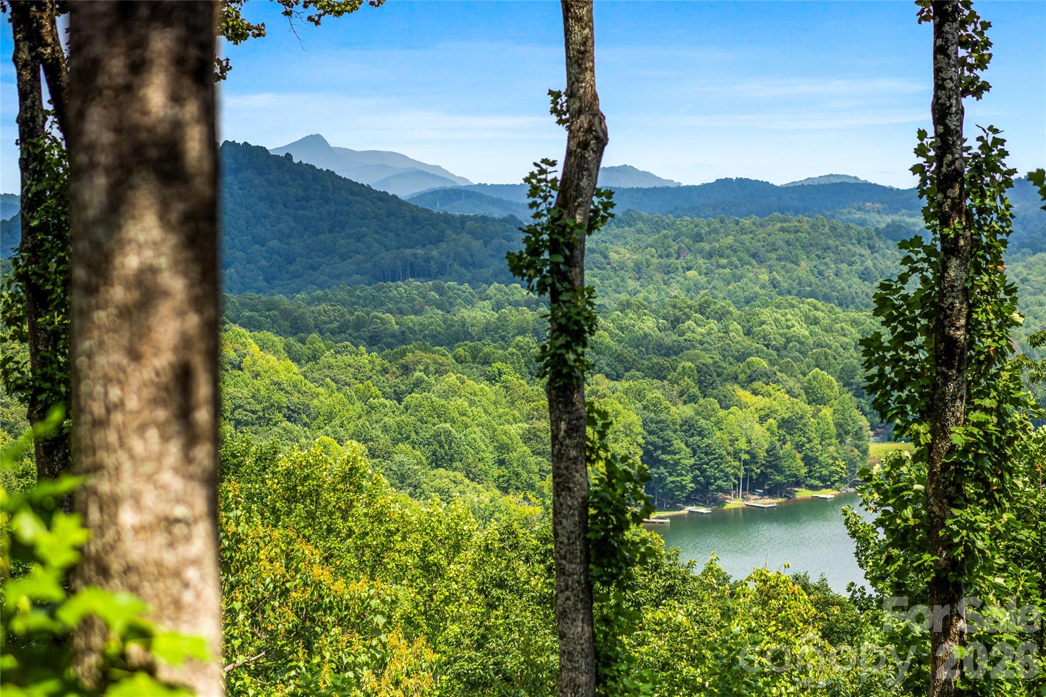 600 Tanglewood Lane — Saluda