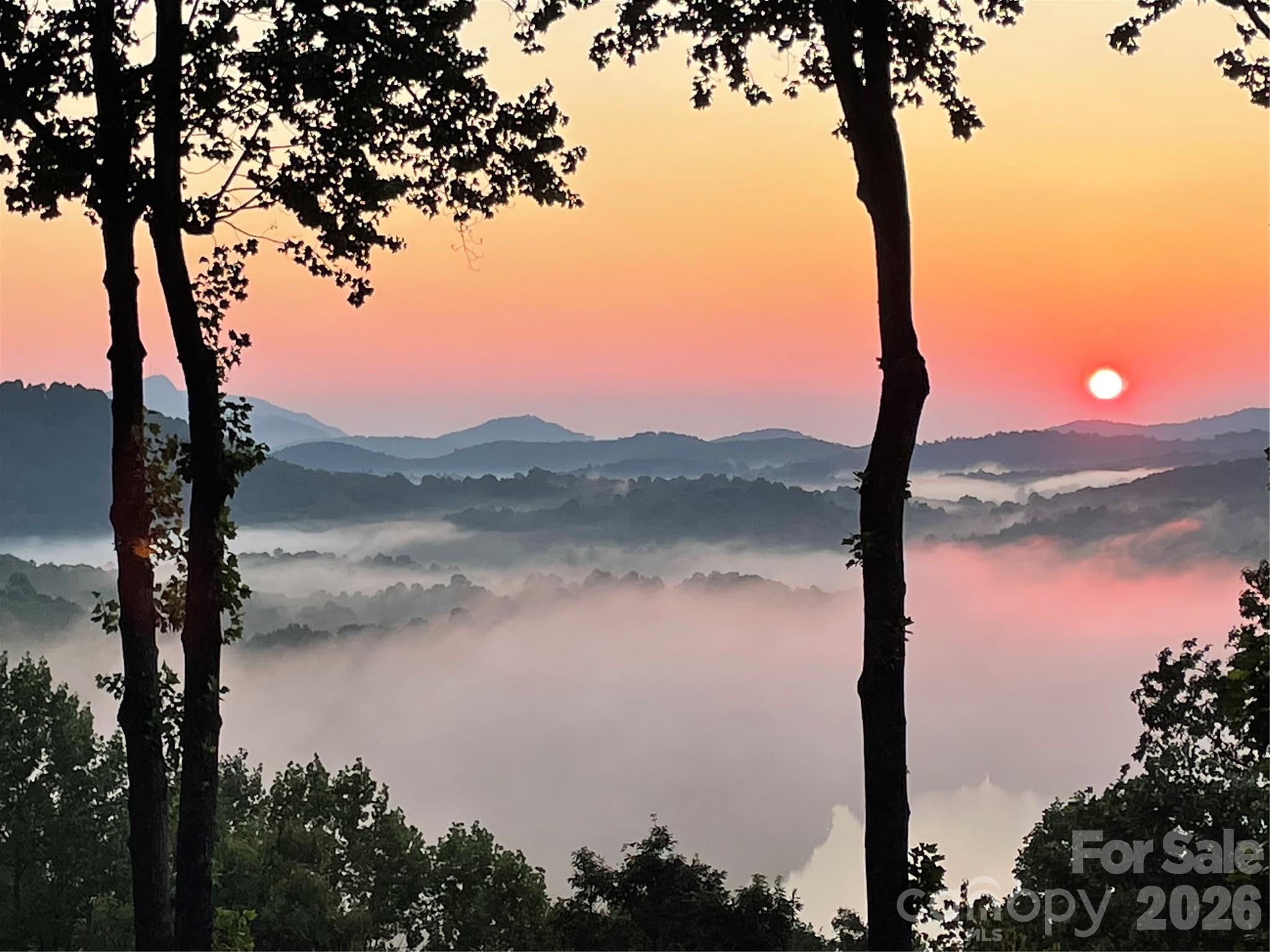 600 Tanglewood Lane — Saluda