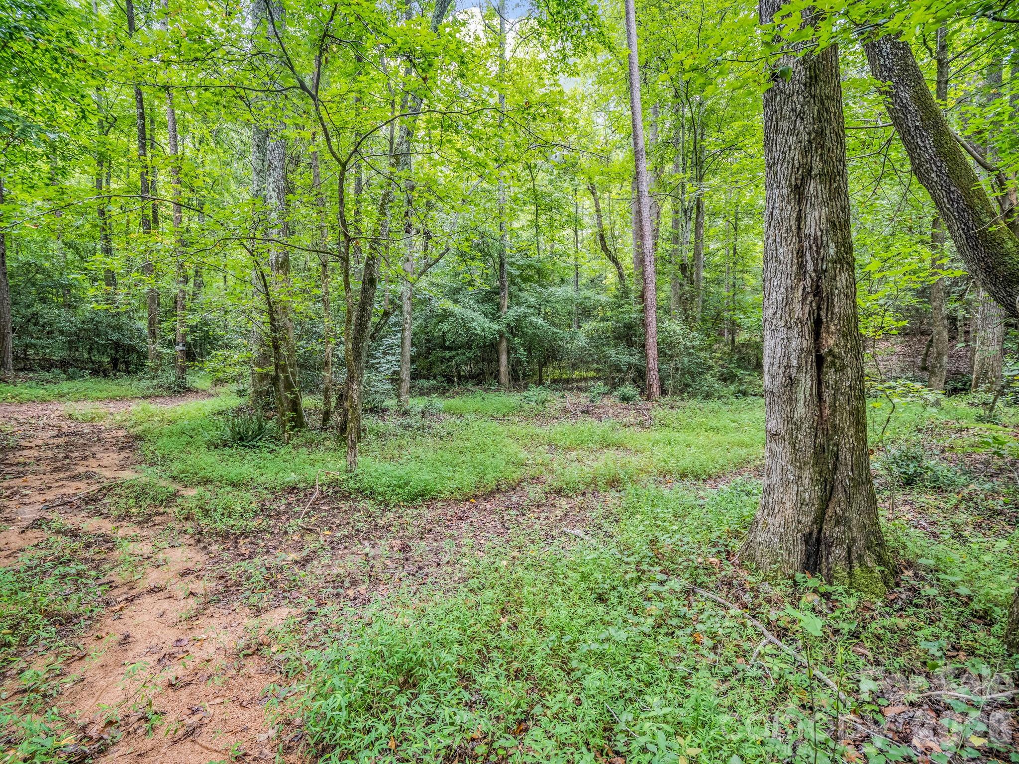 588 Hog Pen Branch Road — Mooresboro