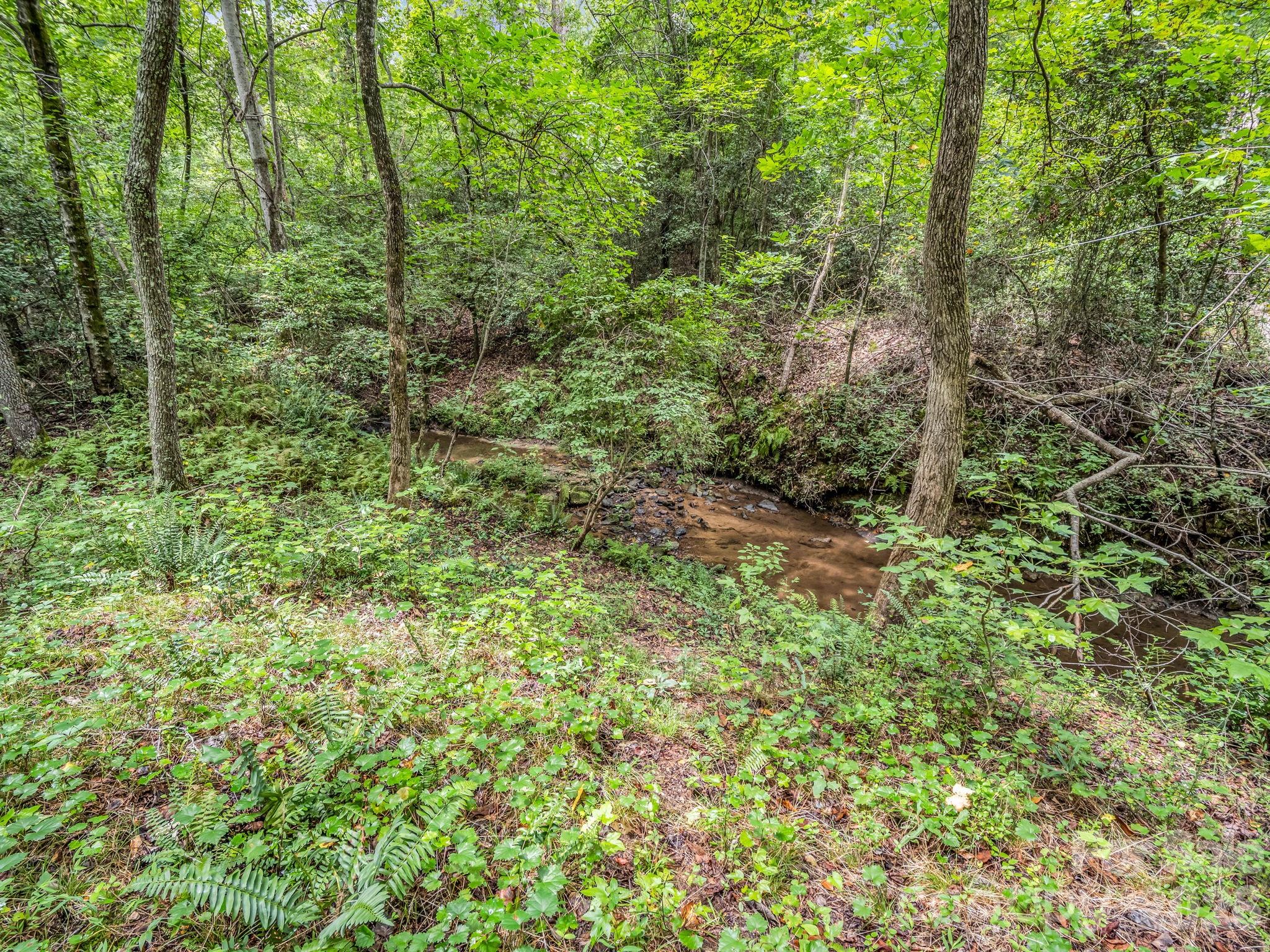 588 Hog Pen Branch Road — Mooresboro