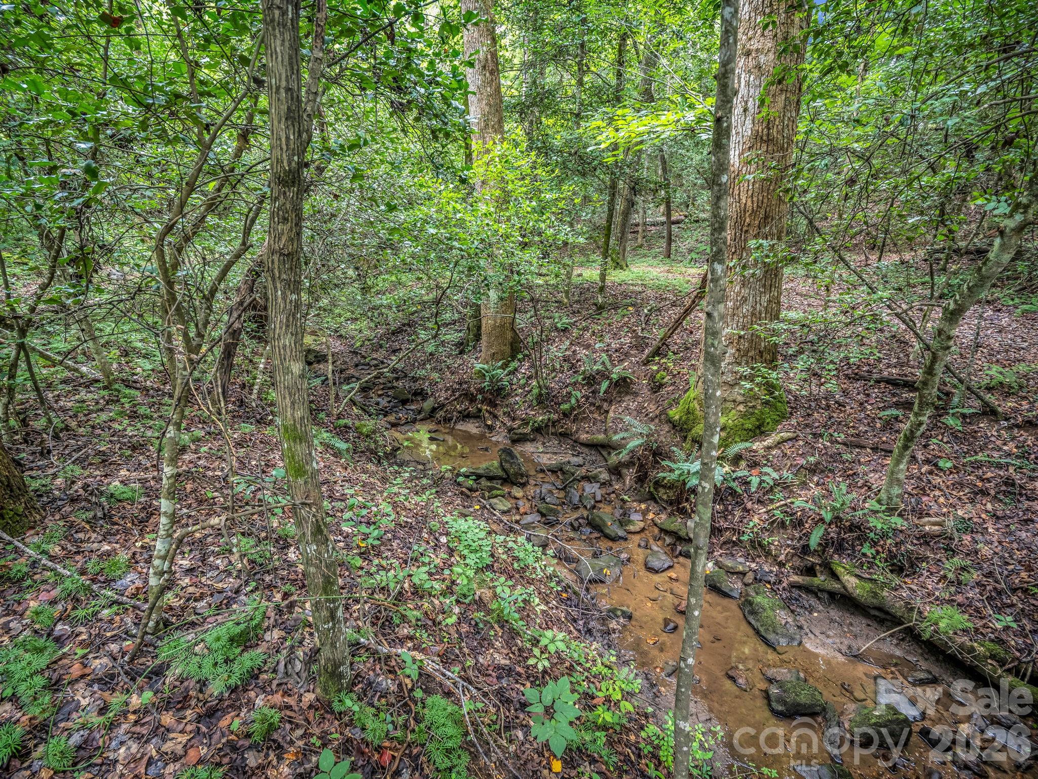 588 Hog Pen Branch Road — Mooresboro