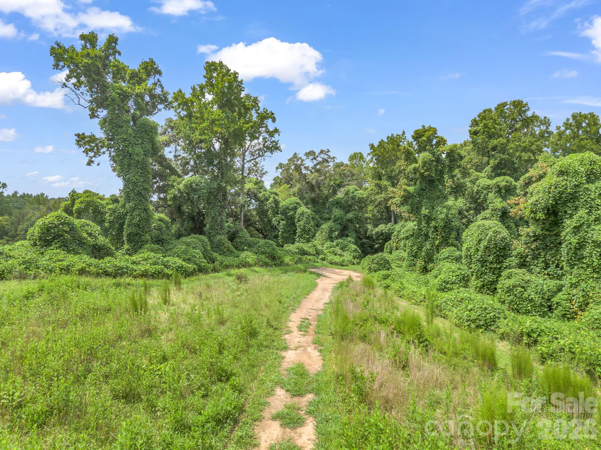 588 Hog Pen Branch Road — Mooresboro