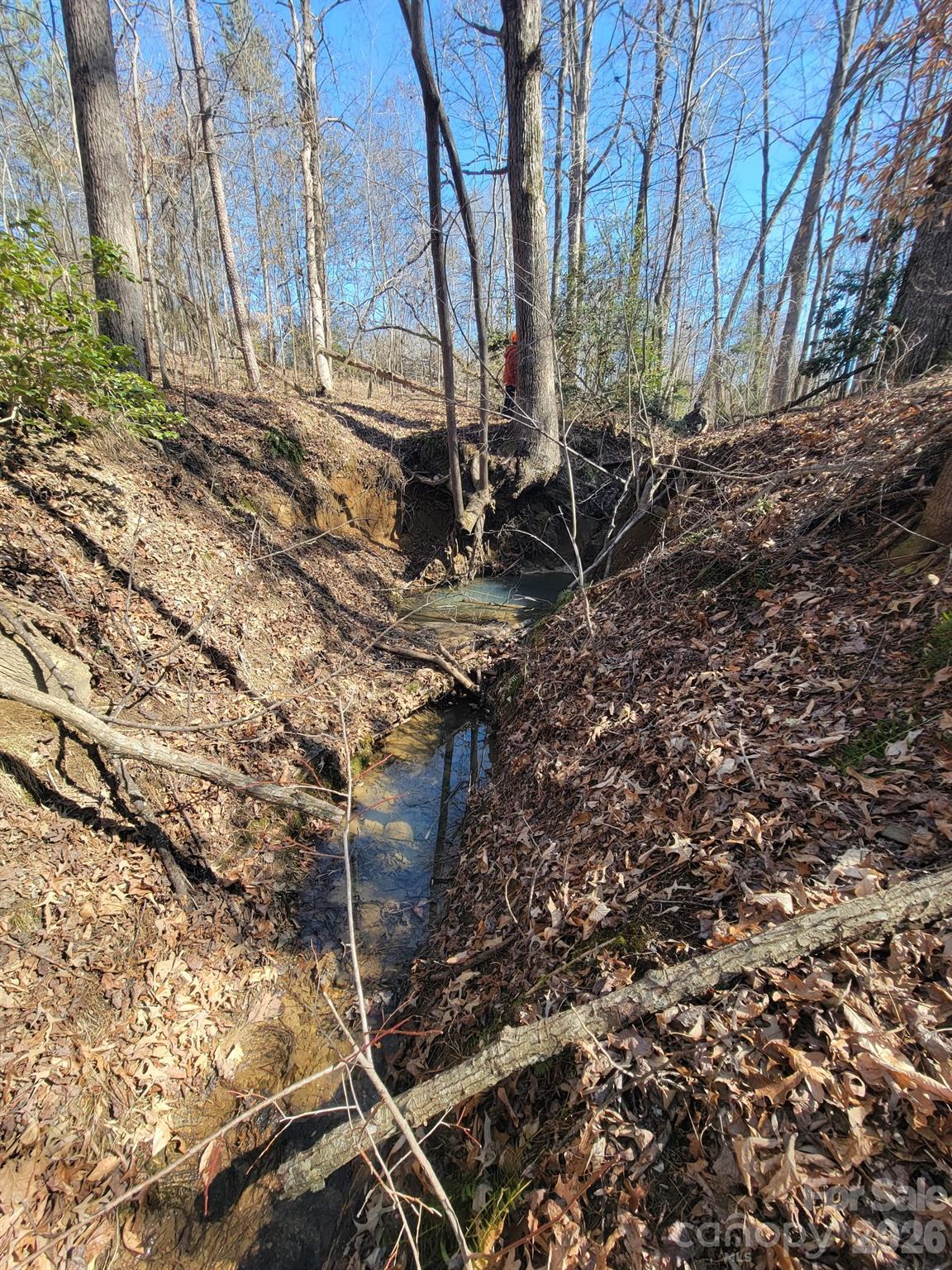 588 Hog Pen Branch Road — Mooresboro