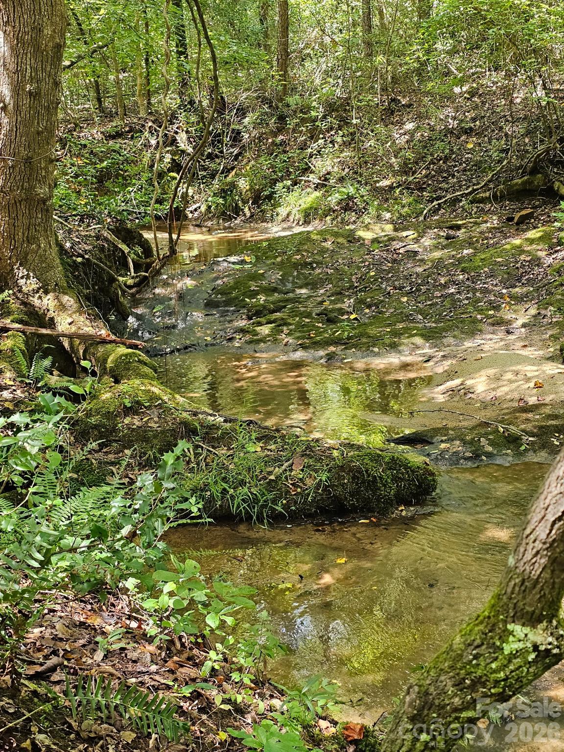 588 Hog Pen Branch Road — Mooresboro