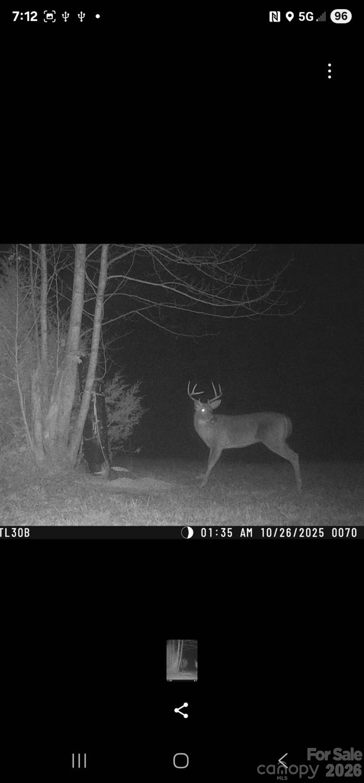 588 Hog Pen Branch Road — Mooresboro