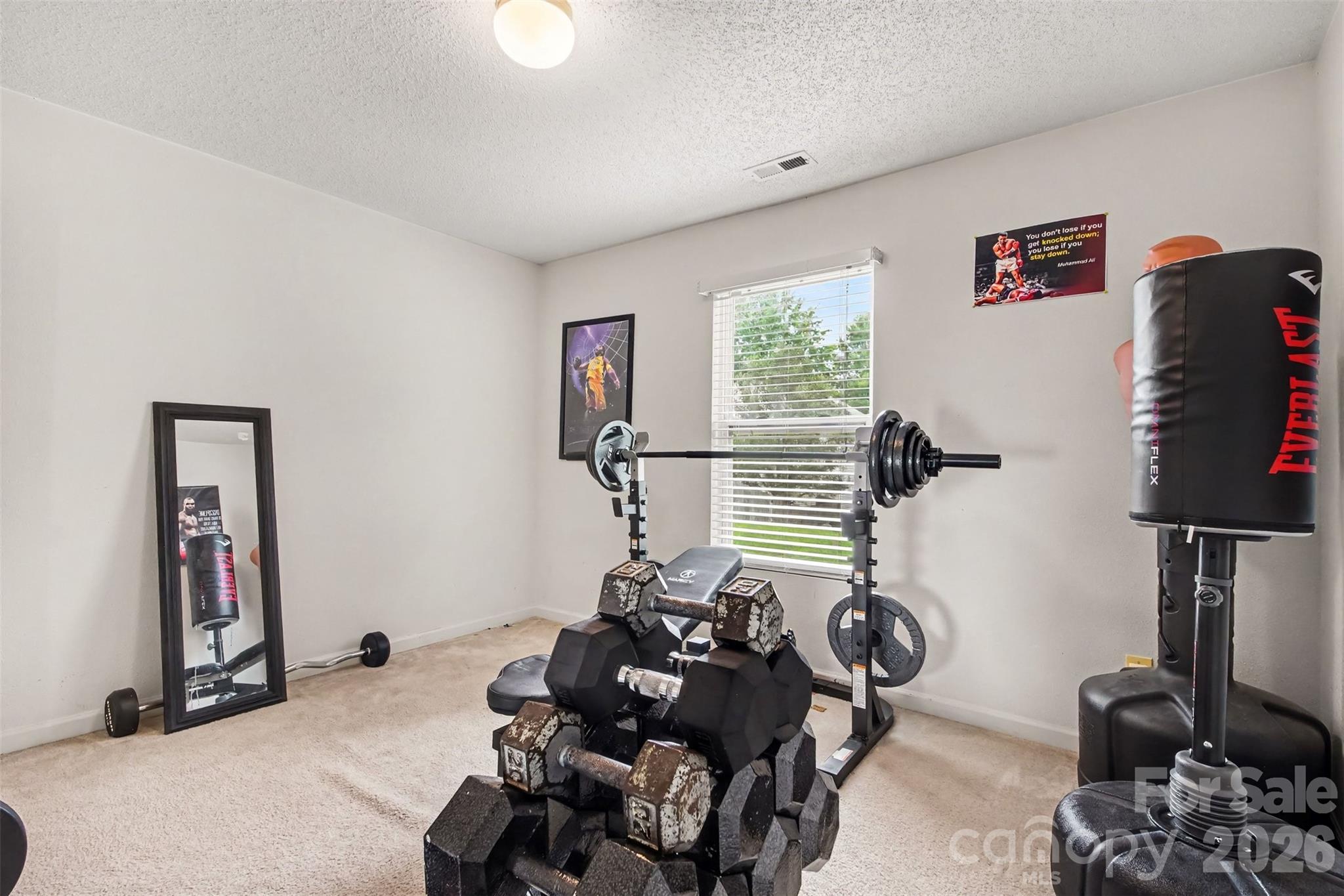 8602 Panglemont Drive — Charlotte