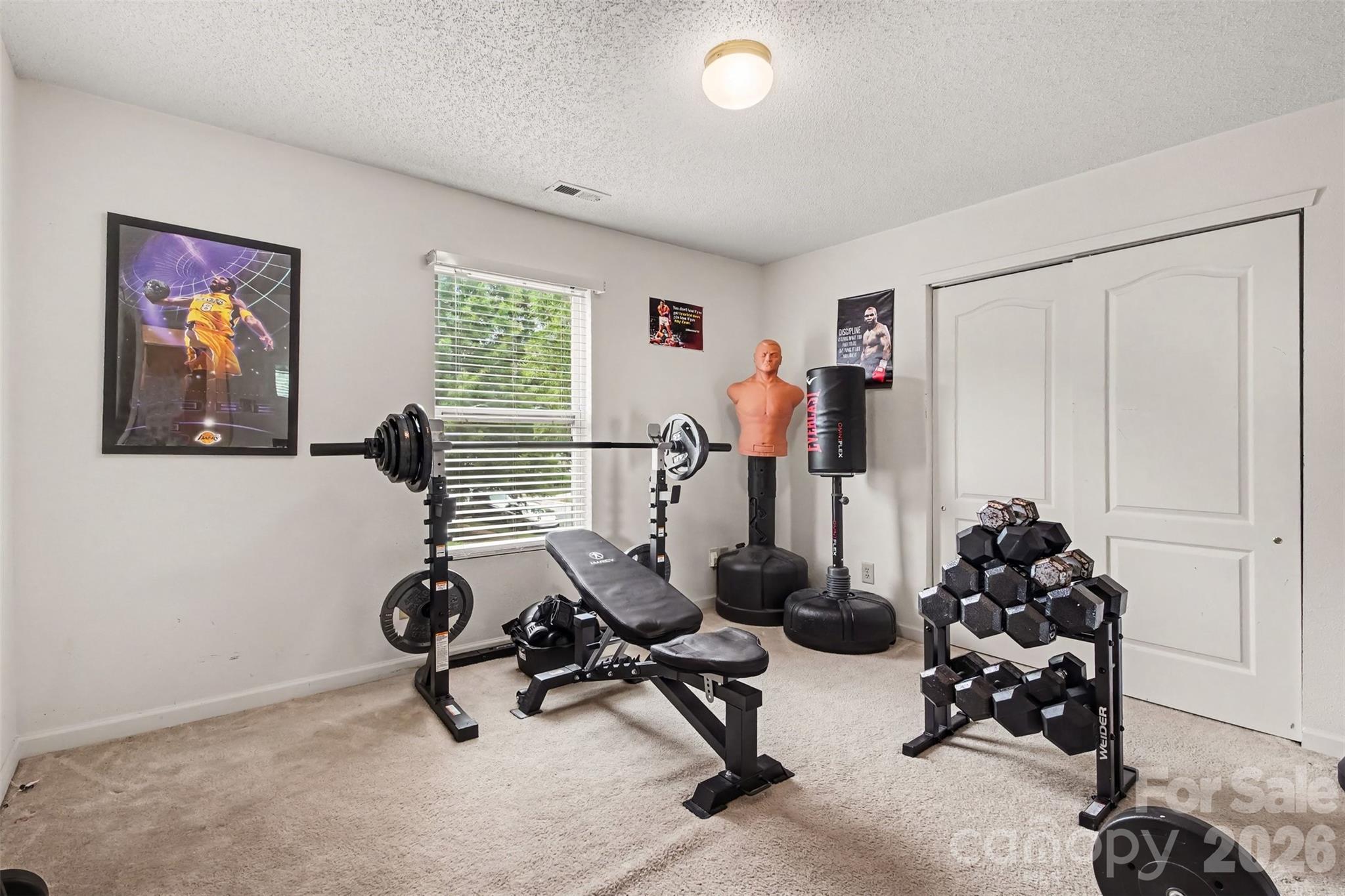 8602 Panglemont Drive — Charlotte