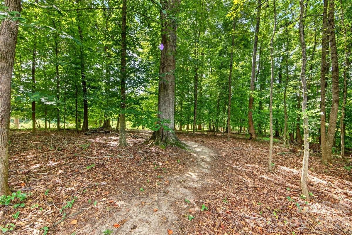 11638 Stockdale Court — Pineville