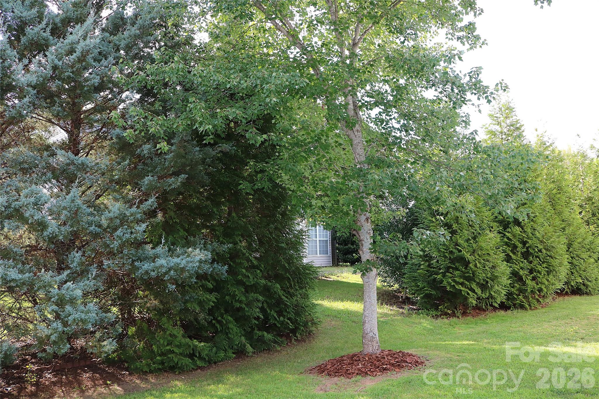 4409 Squirrel Trail Lane — Charlotte