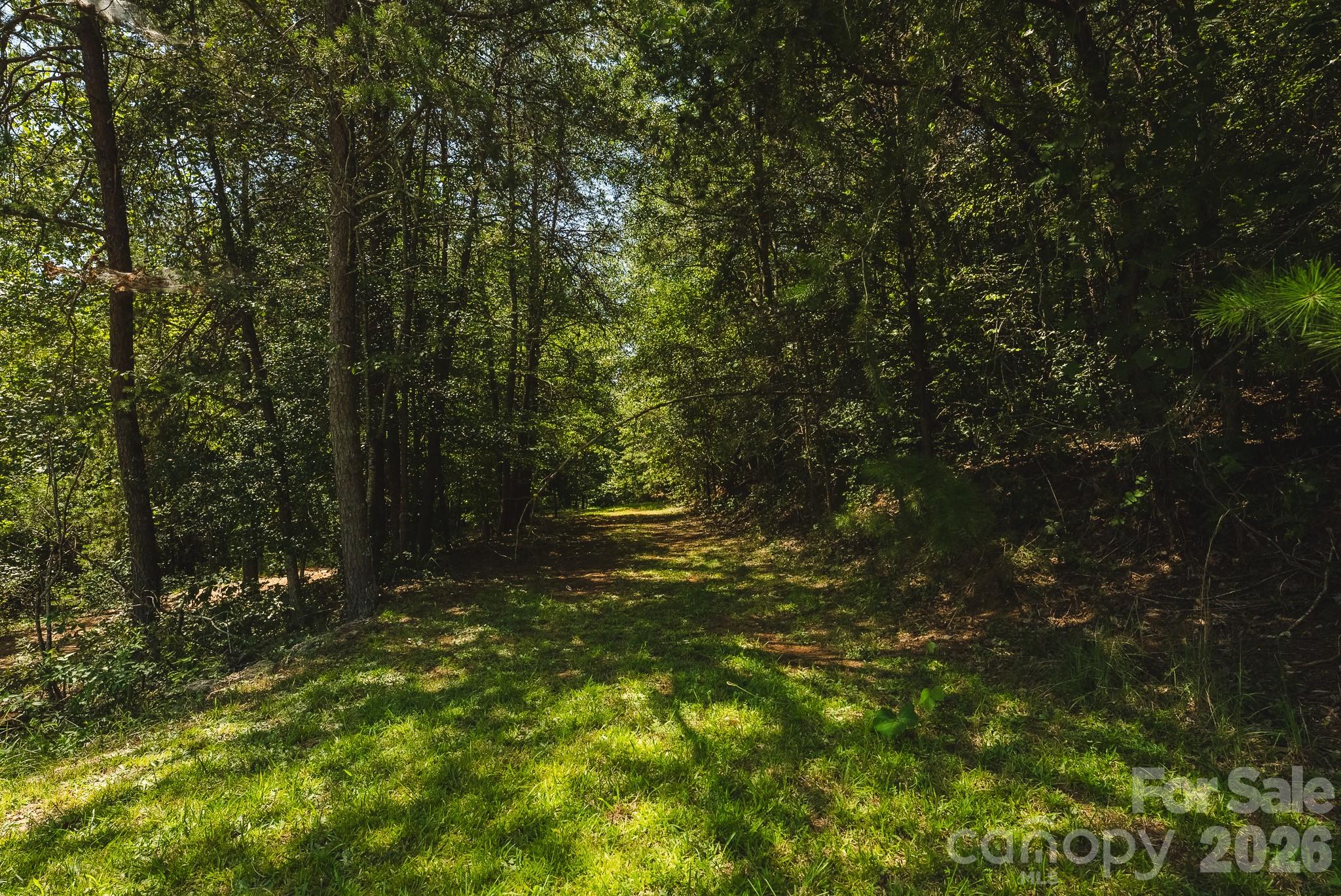 51 Fred Jolly Lane — Taylorsville