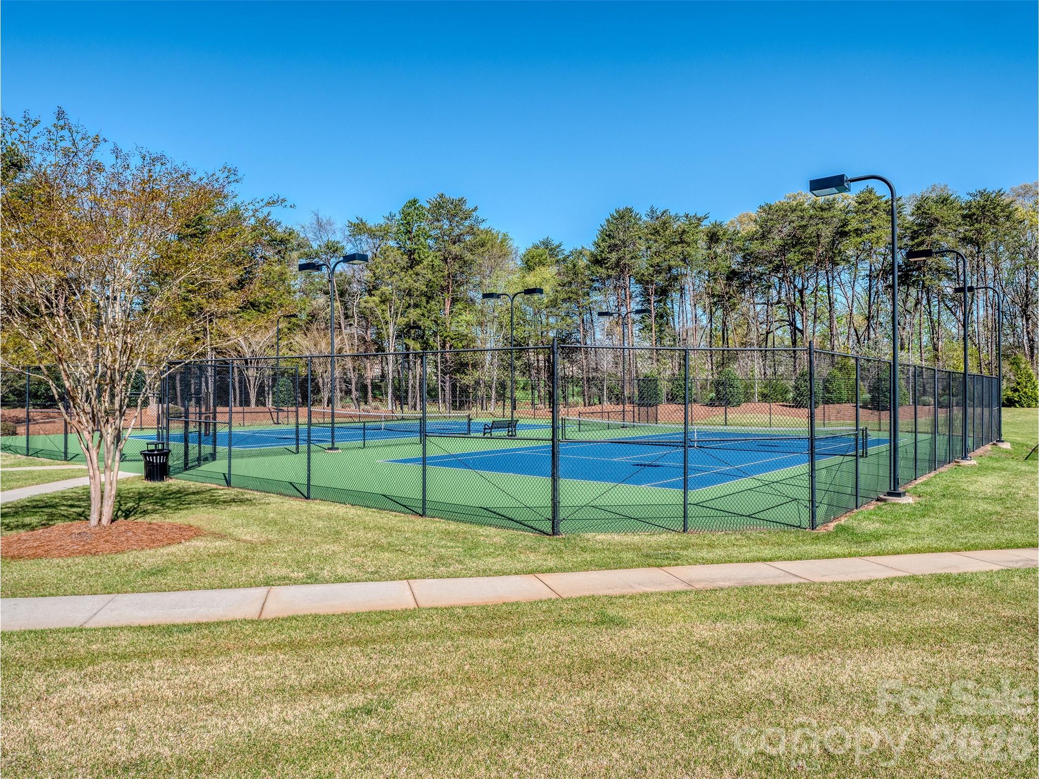 10433 Honeyfur Court — Charlotte