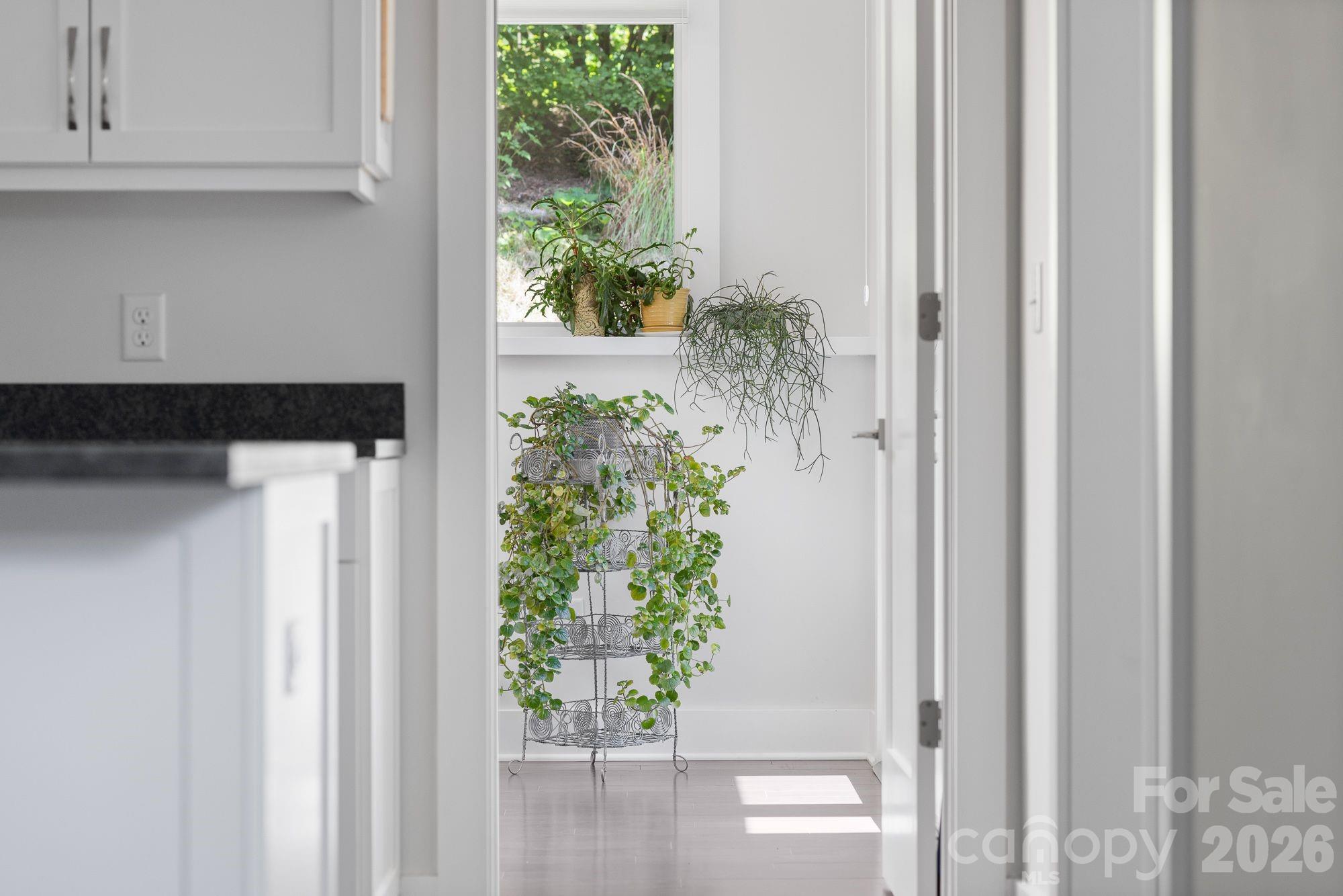 497 Kimberly Avenue — Asheville