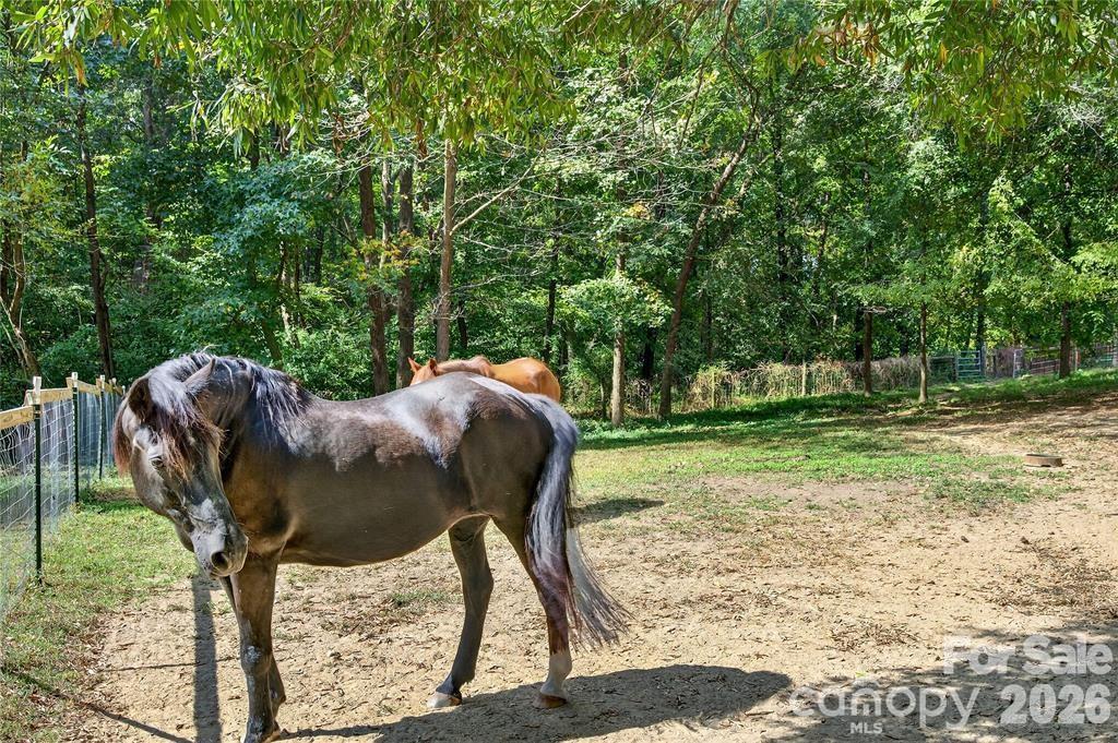 205 Airport Road — Wesley Chapel
