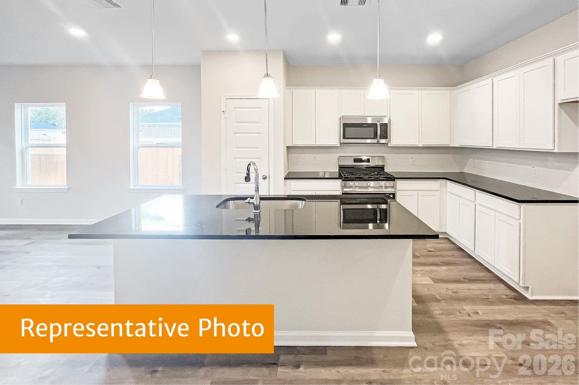4145 Ruth Creek Court — Charlotte