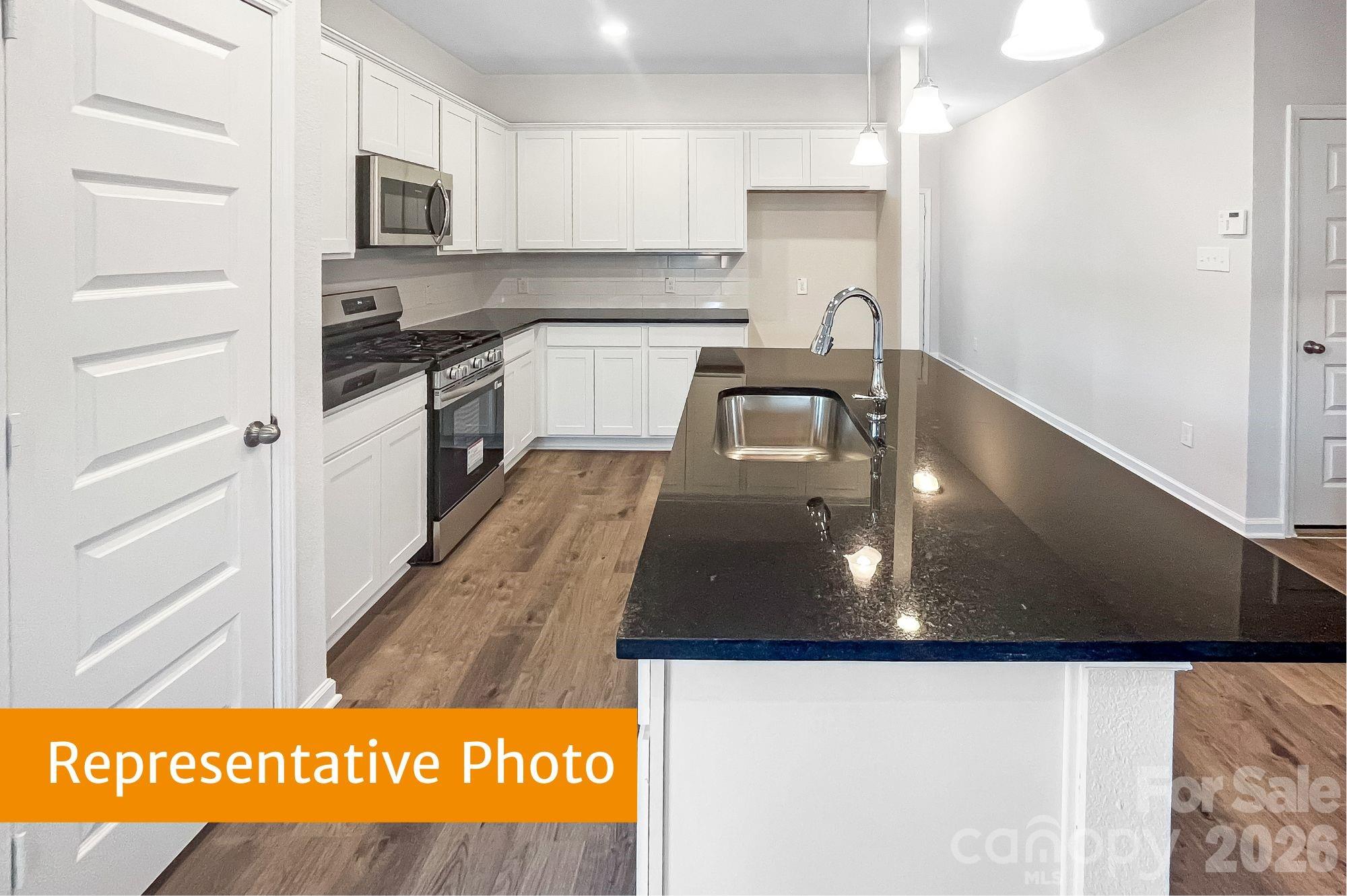 4145 Ruth Creek Court — Charlotte