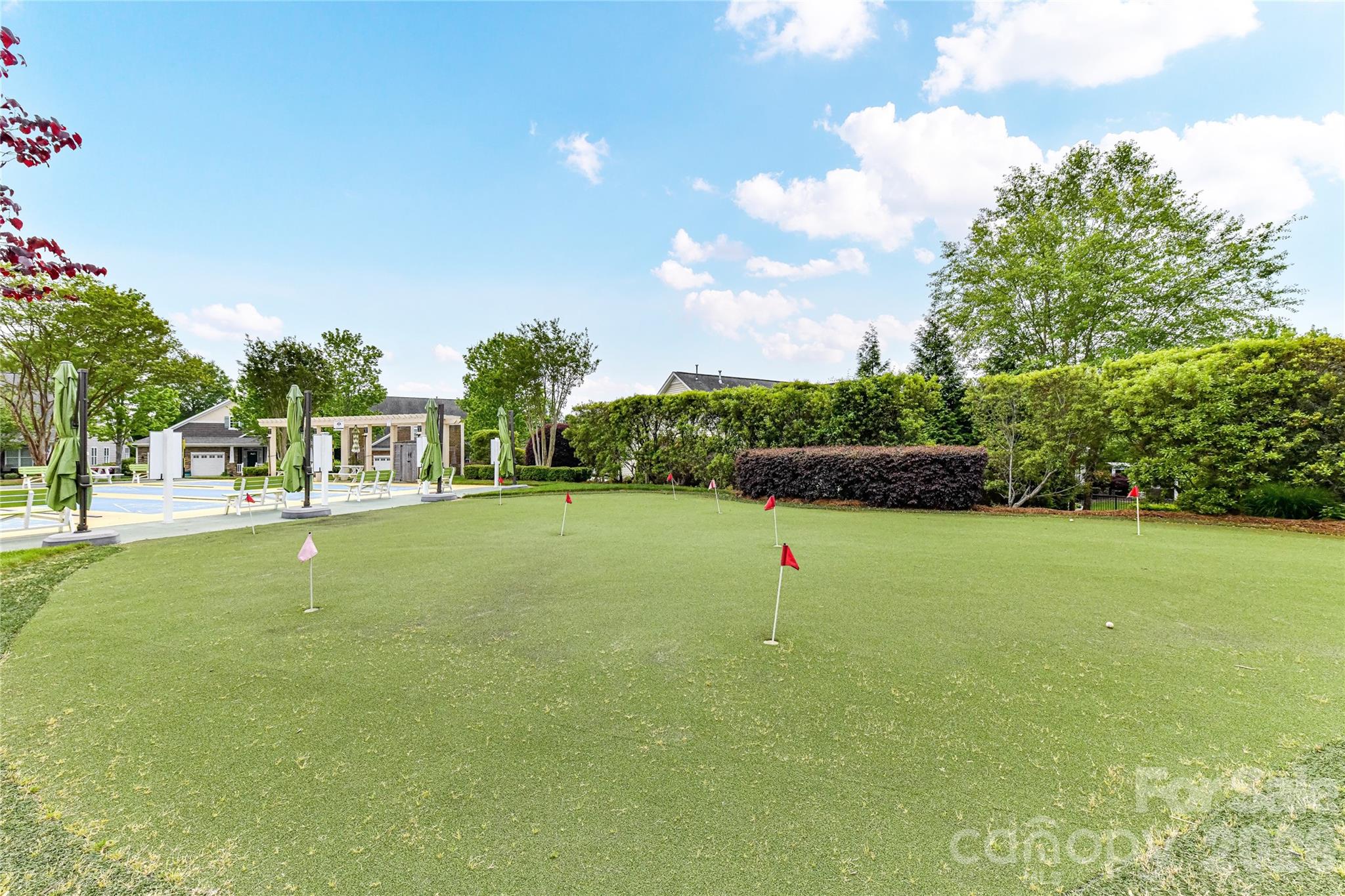 13003 Riley Grace Lane — Cornelius