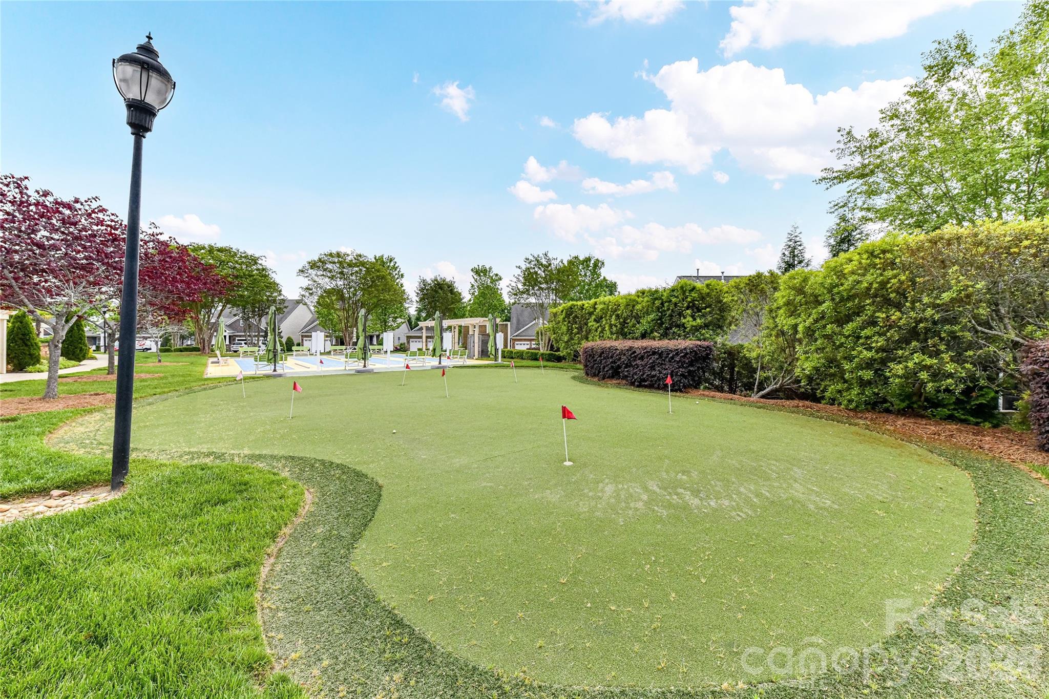 13003 Riley Grace Lane — Cornelius