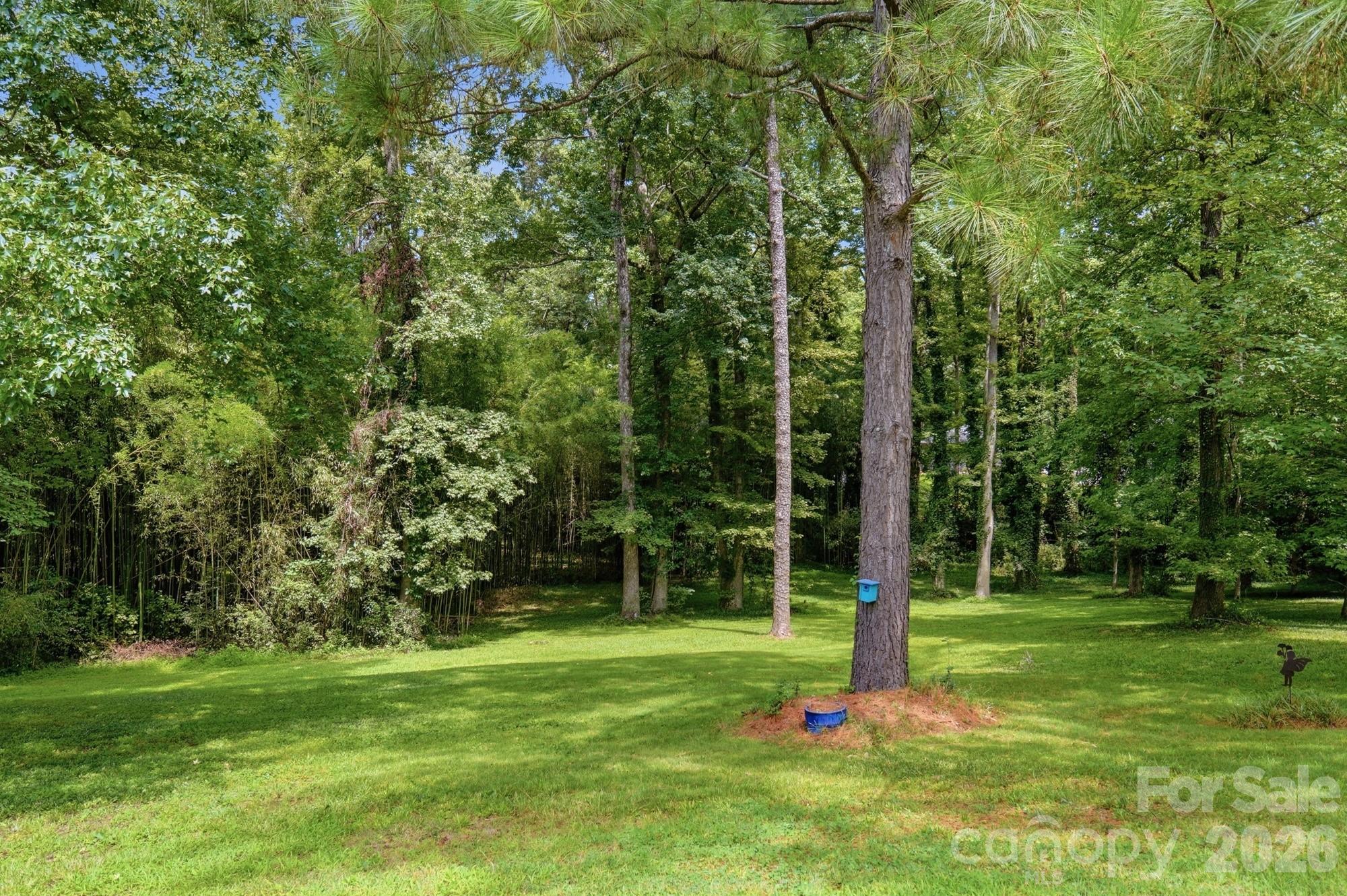800 Jefferson Drive — Charlotte