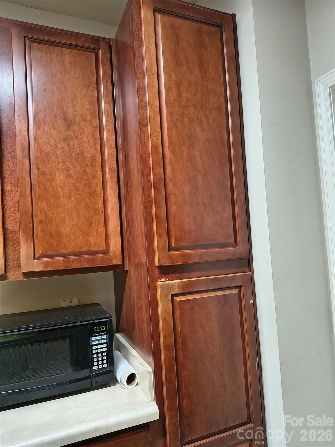 10518 Hill Point Court #10518 — Charlotte