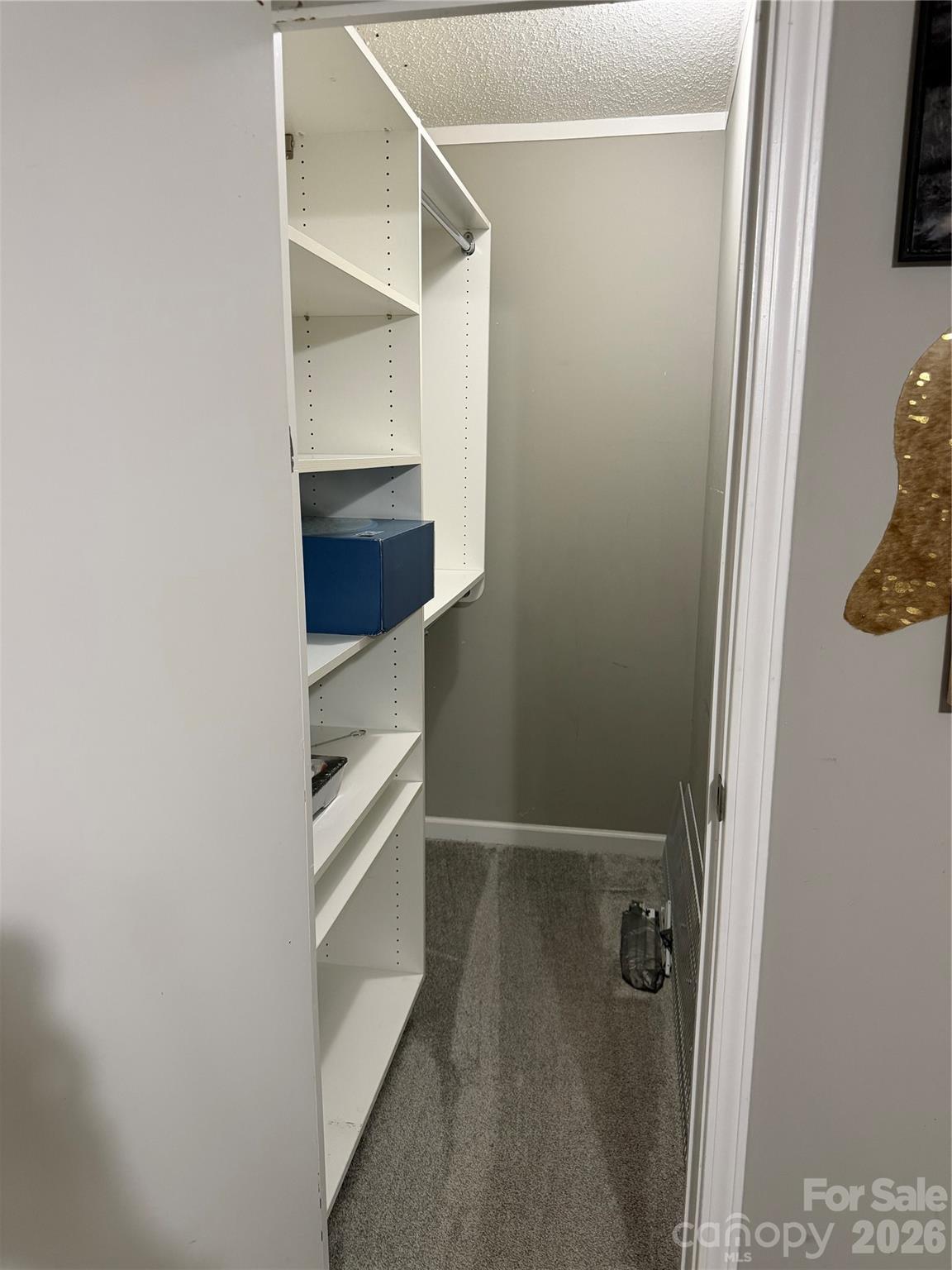 26434 Wayne Drive — Albemarle