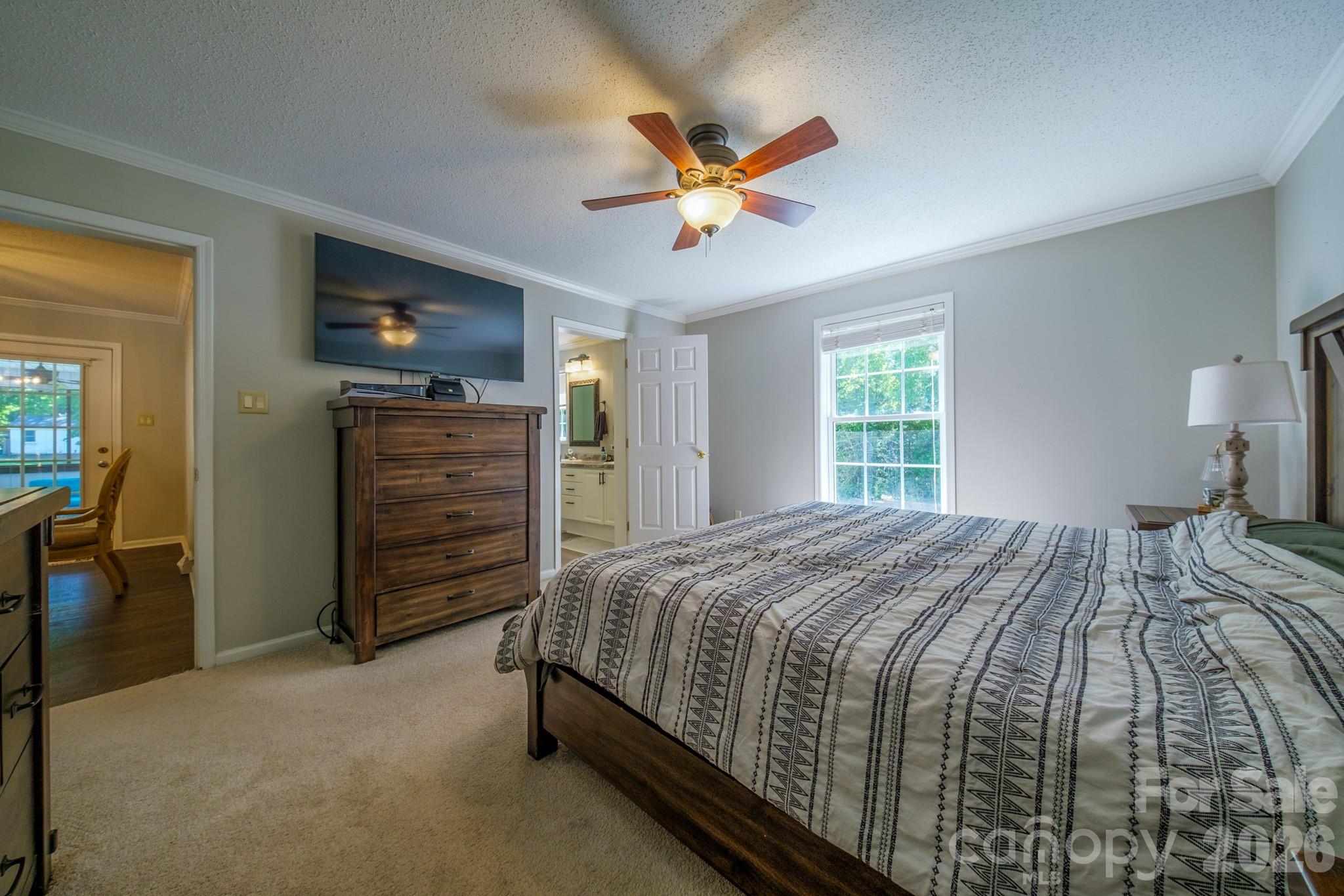 117 Penicillin Point — Troutman