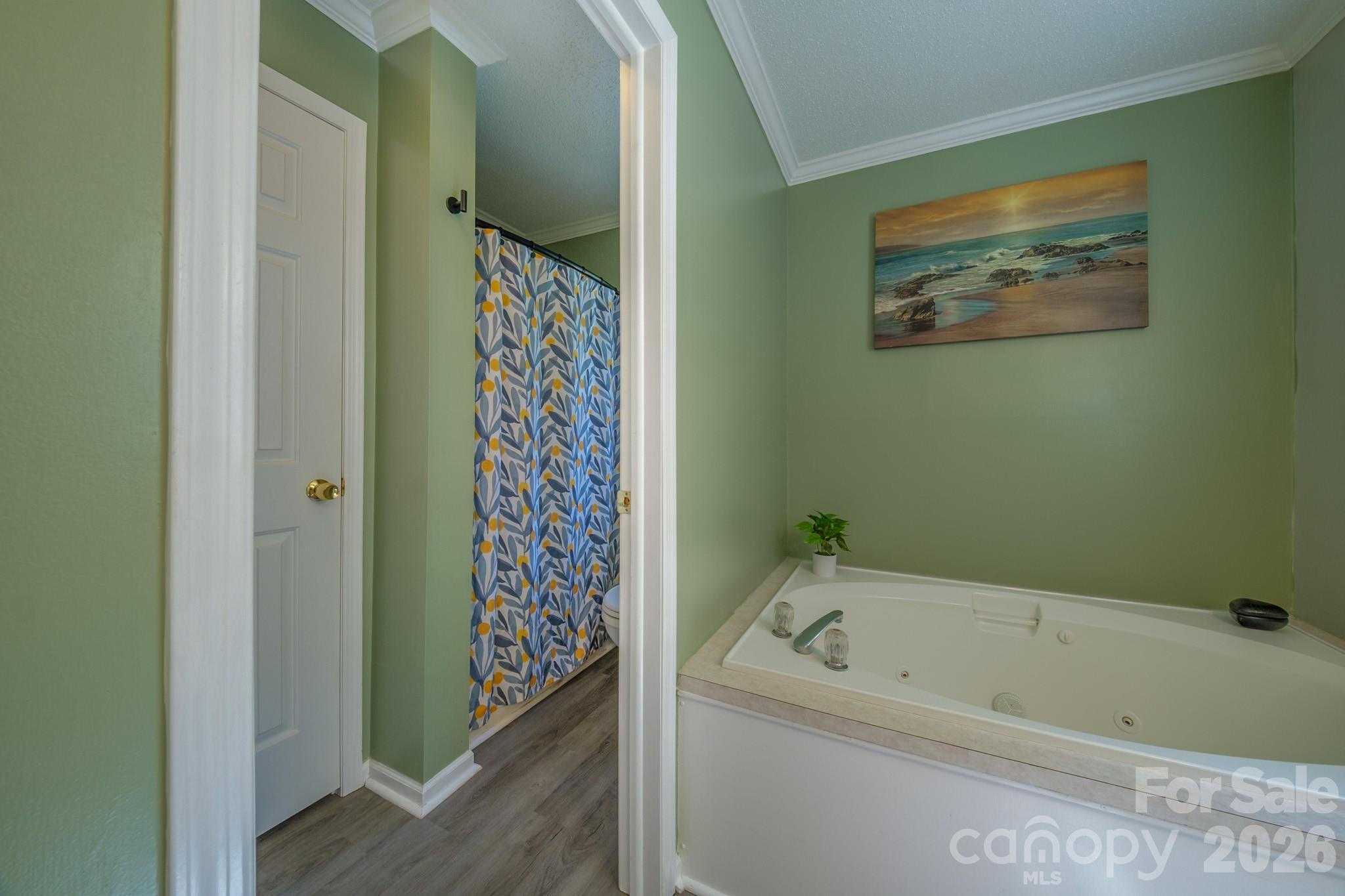 117 Penicillin Point — Troutman