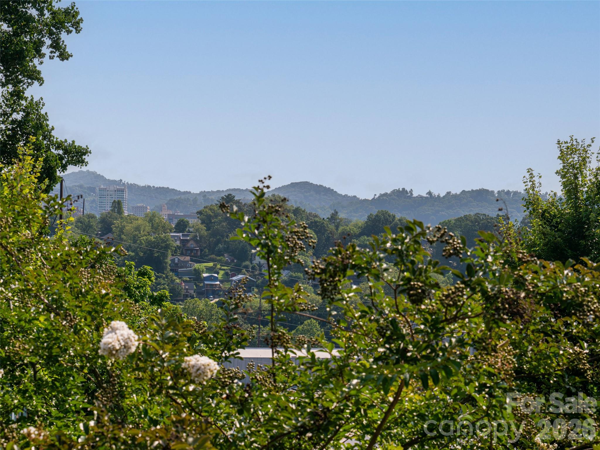 4 Osprey Trail — Asheville