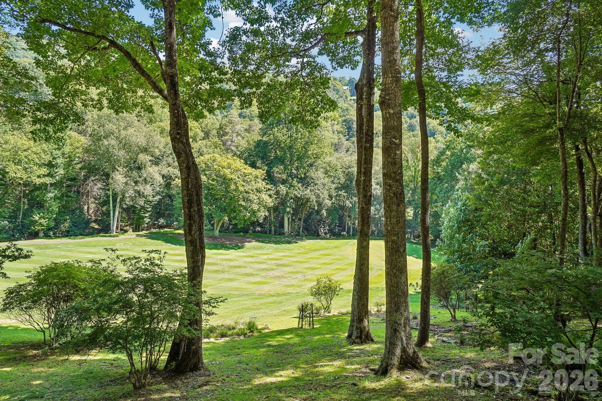 311 Wonderly Lane — Mars Hill