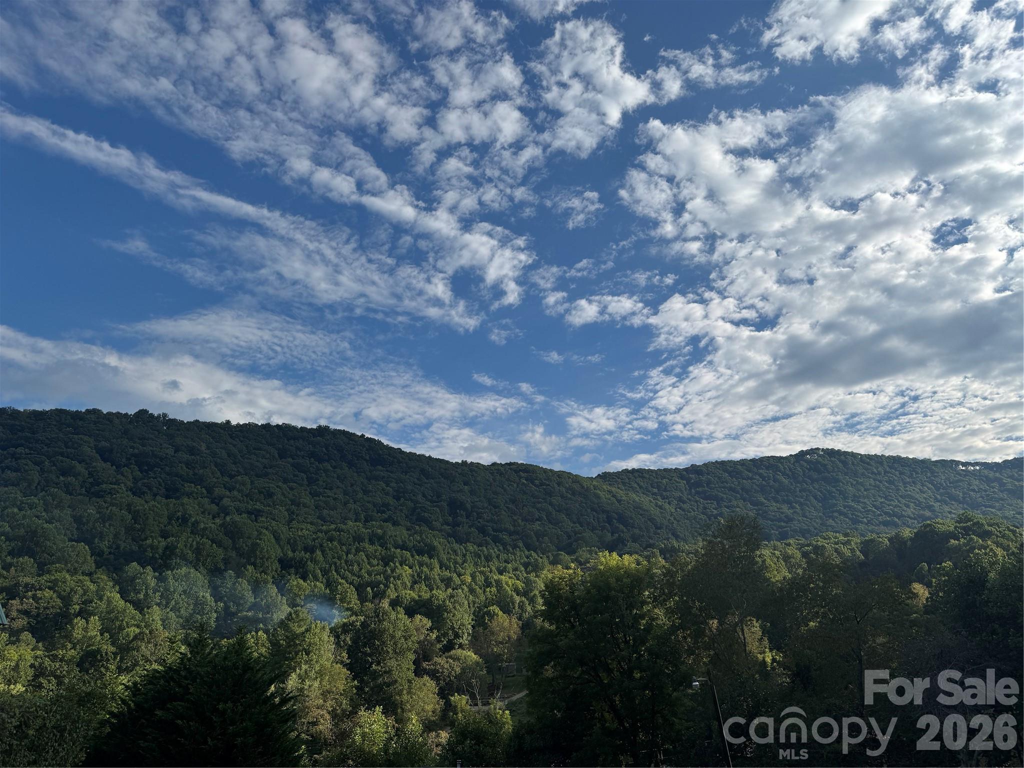 76 Patriot Drive — Waynesville