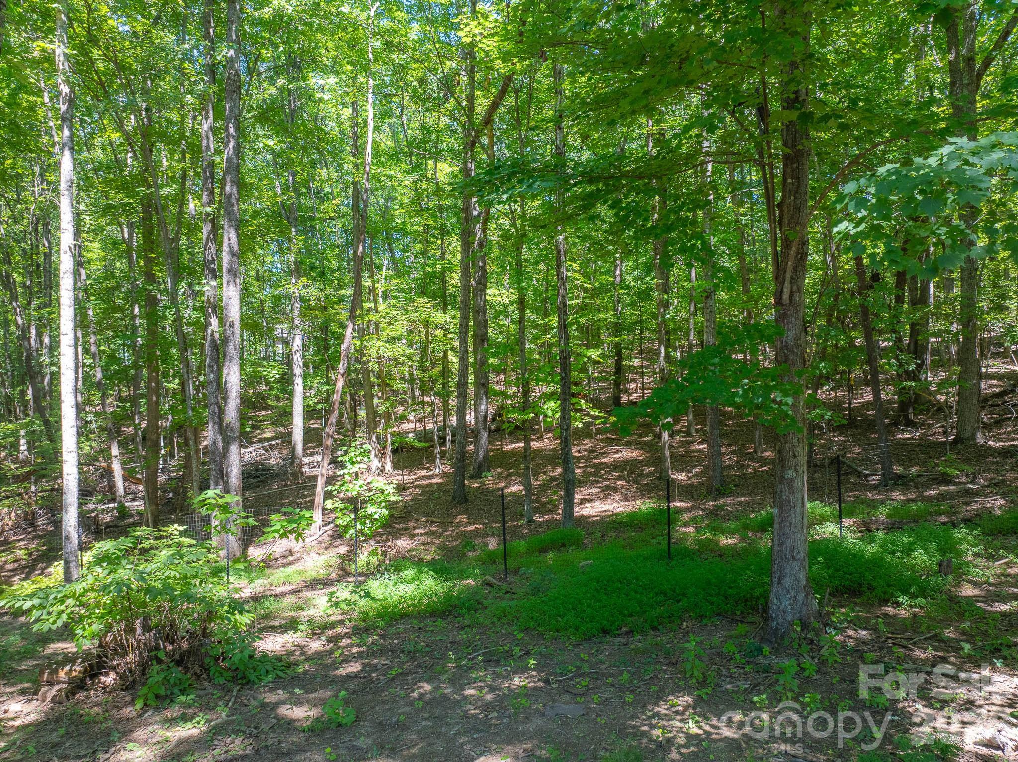 257 Adirondack Trail #180 — Nebo