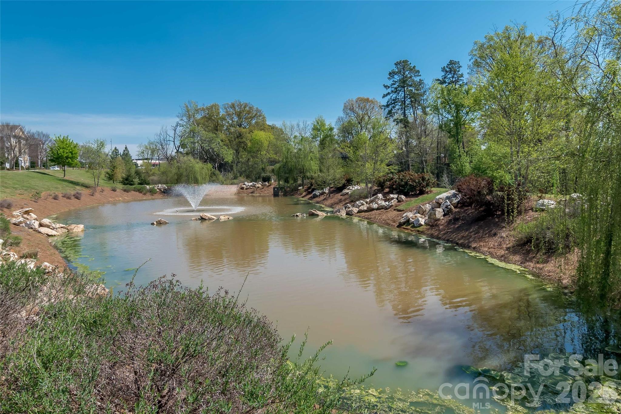 3134 Bending Birch Place — Charlotte