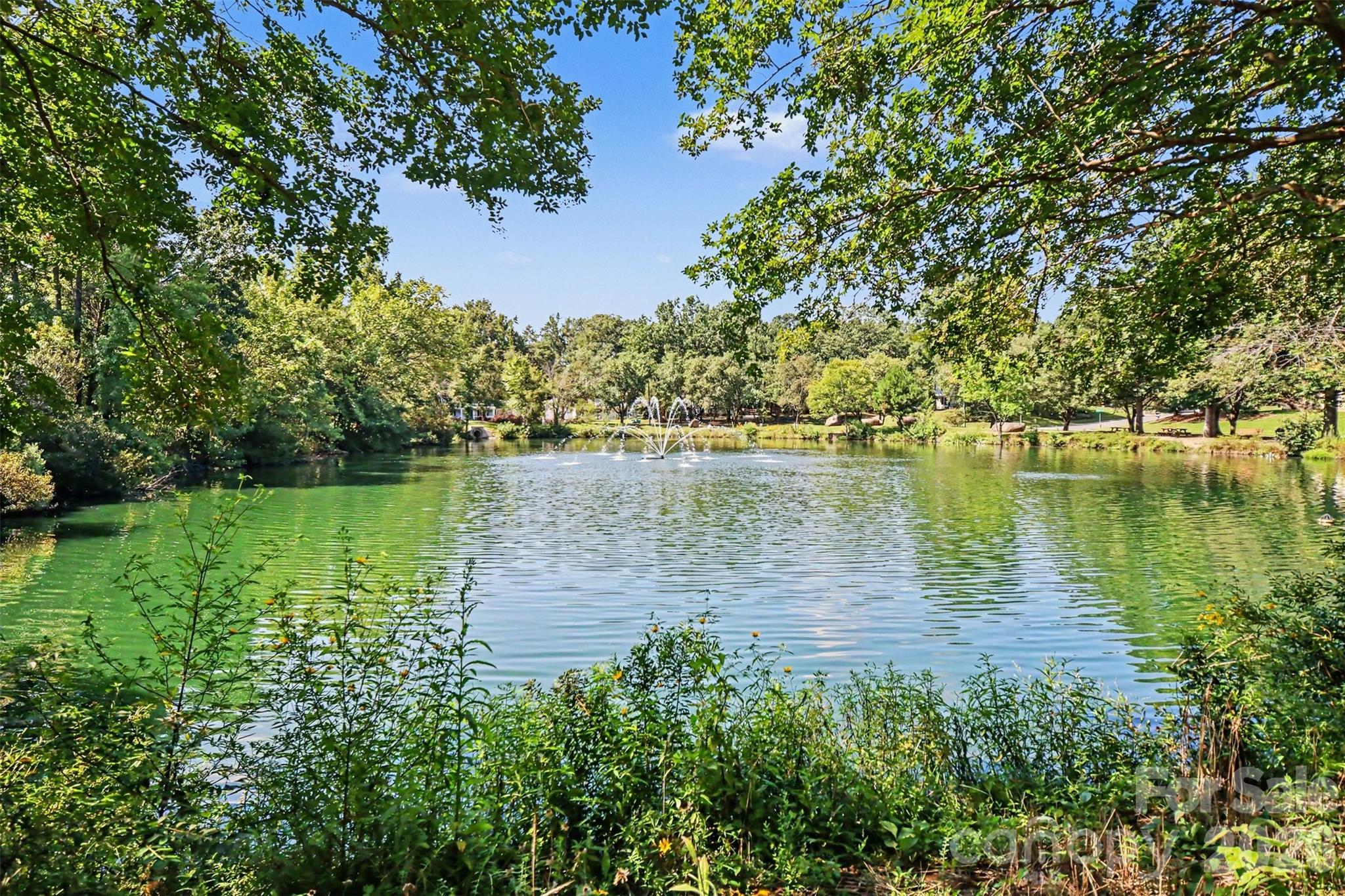 2248 Lawton Bluff Road — Charlotte