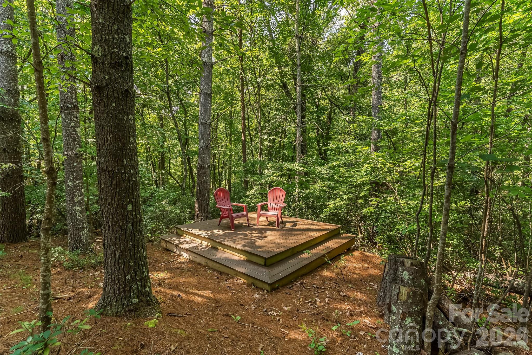 3201 Donahue Drive — Nebo