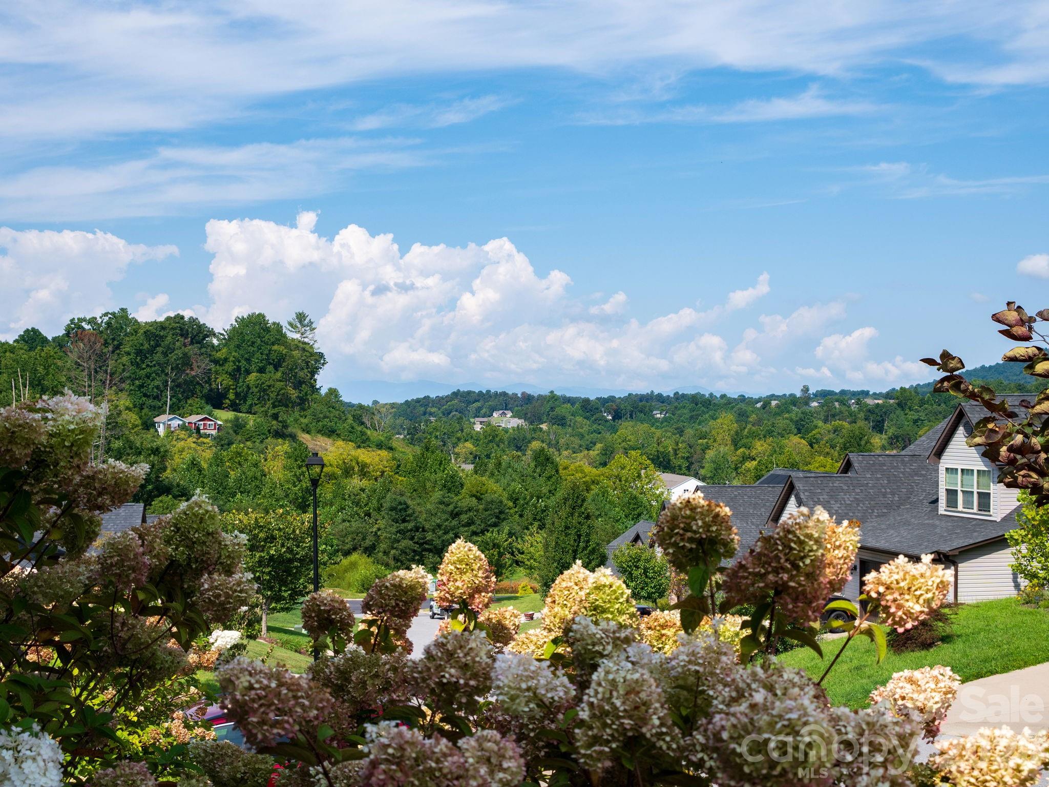 218 Water Leaf Drive — Weaverville