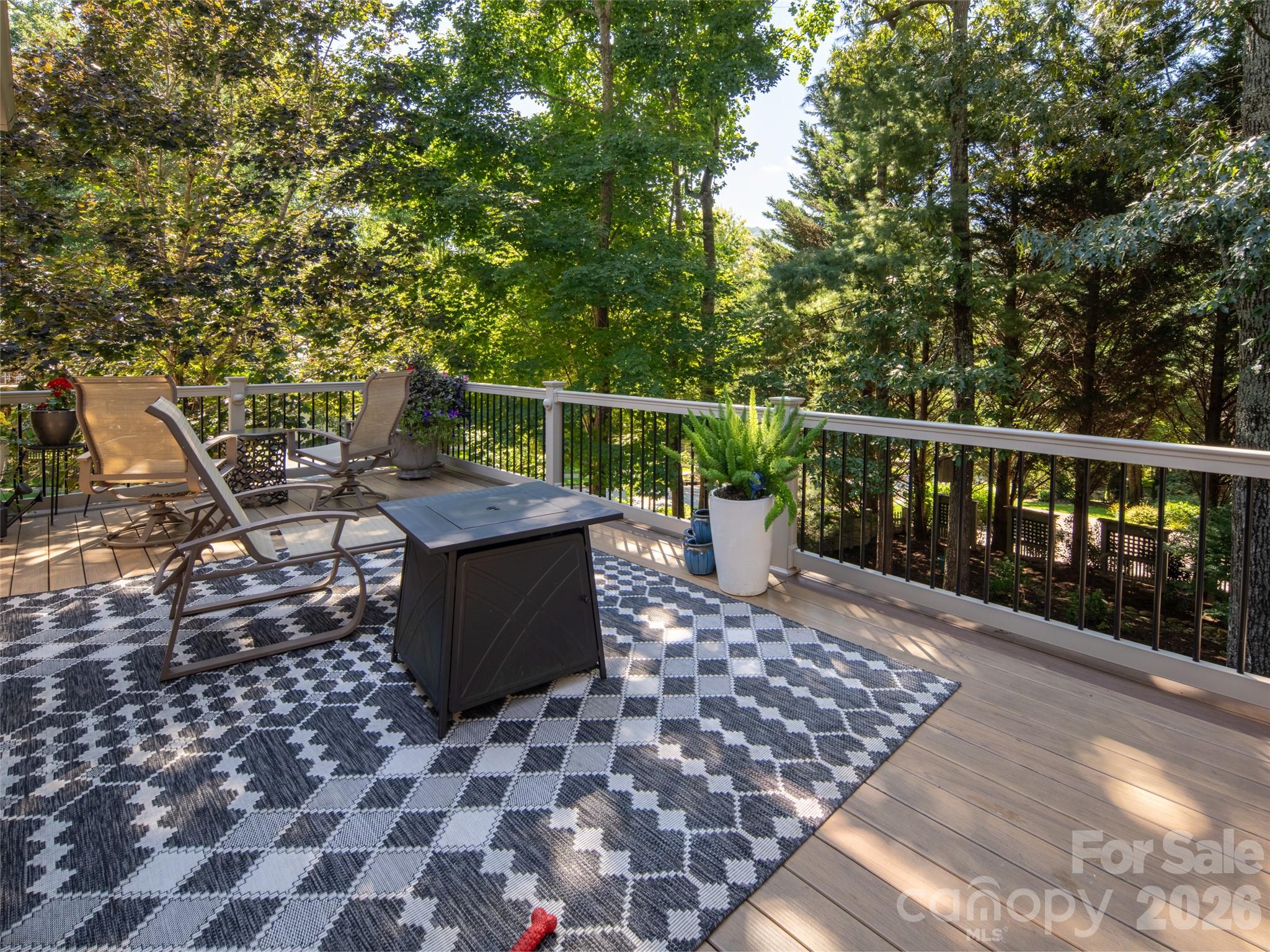 54 Mountain Drive — Biltmore Lake
