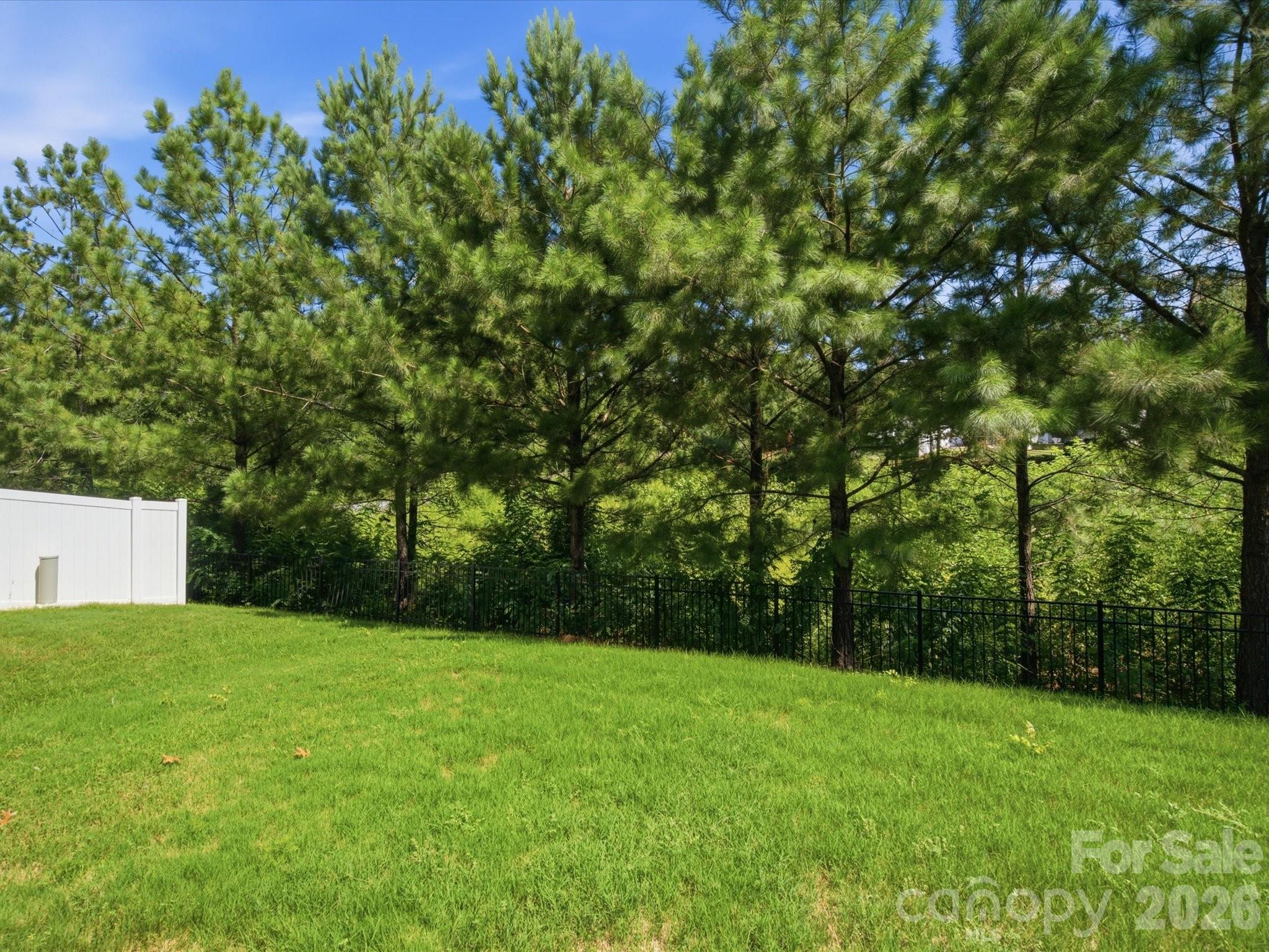 7020 Swamp Chestnut Lane — Indian Land