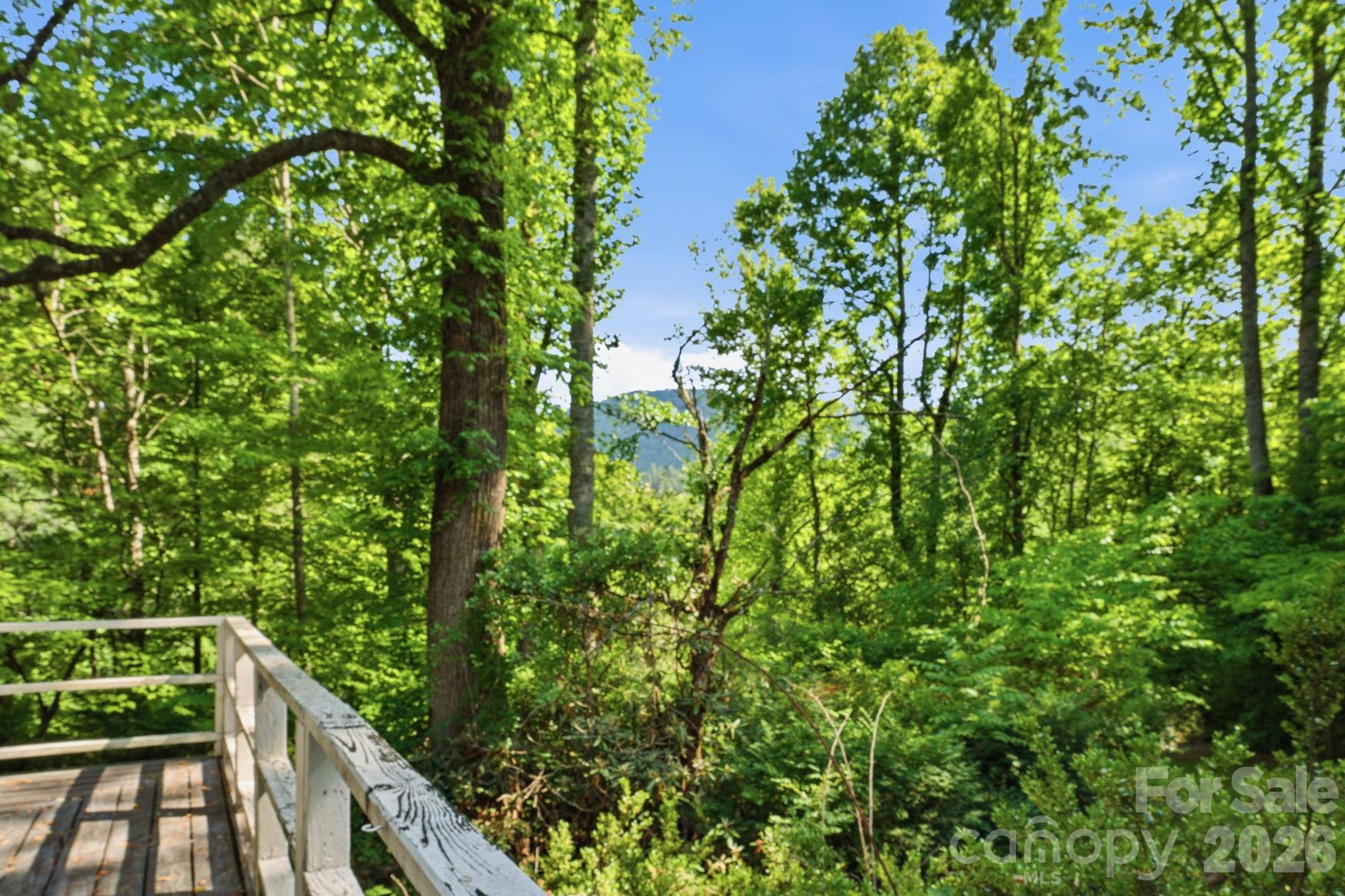 38 Pee Wee Branch Branch — Sylva