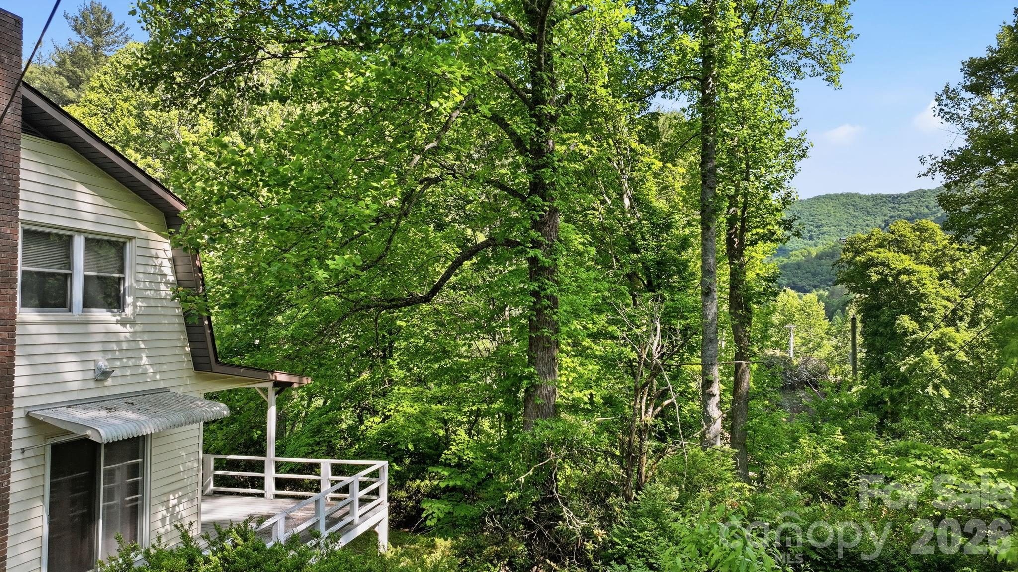 38 Pee Wee Branch Branch — Sylva