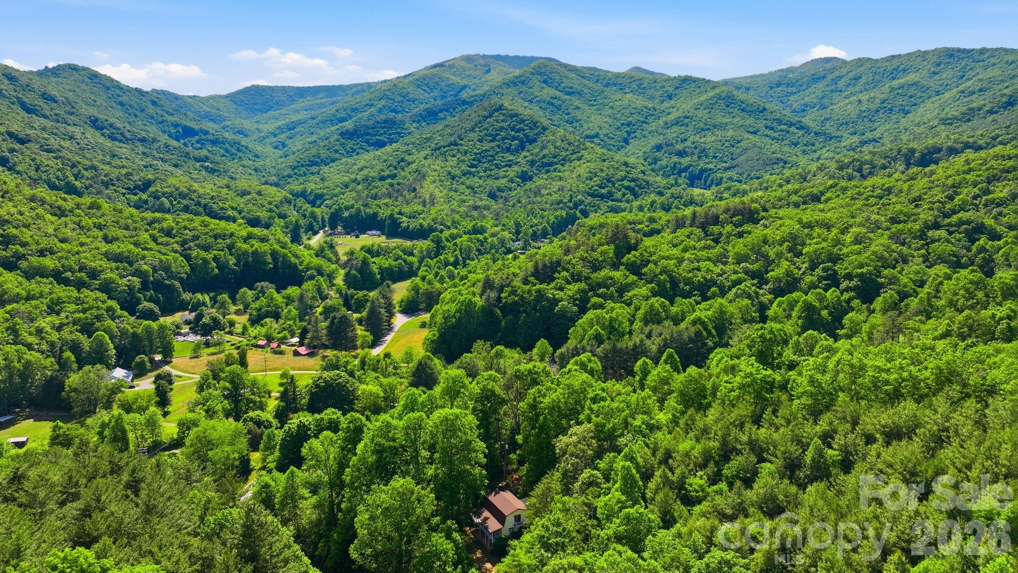 38 Pee Wee Branch Branch — Sylva