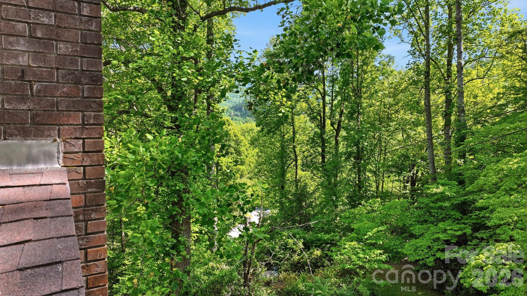 38 Pee Wee Branch Branch — Sylva