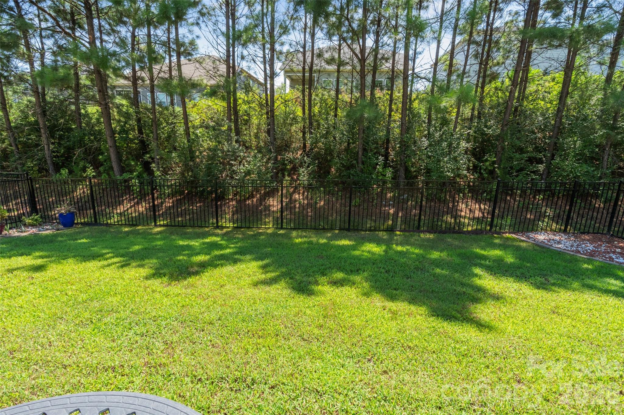 11230 Black Brant Lane — Charlotte