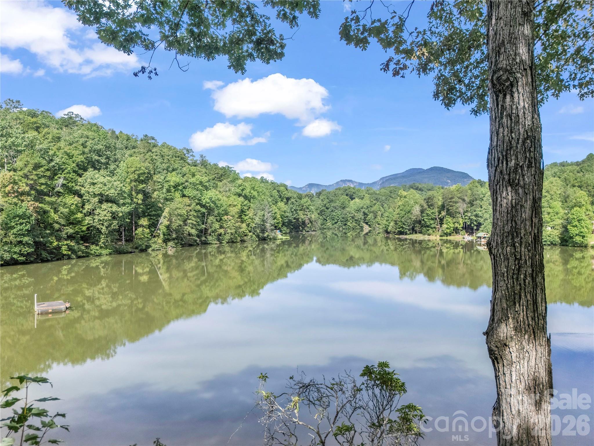 1050 Buffalo Shoals Road — Lake Lure