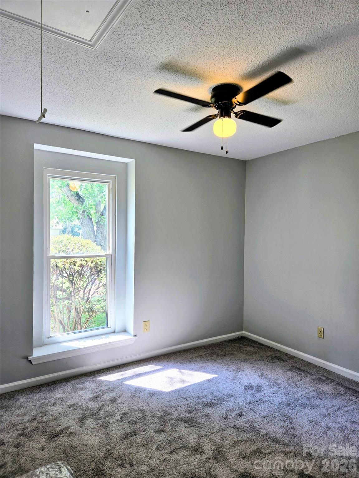 11318 Treebark Drive — Pineville