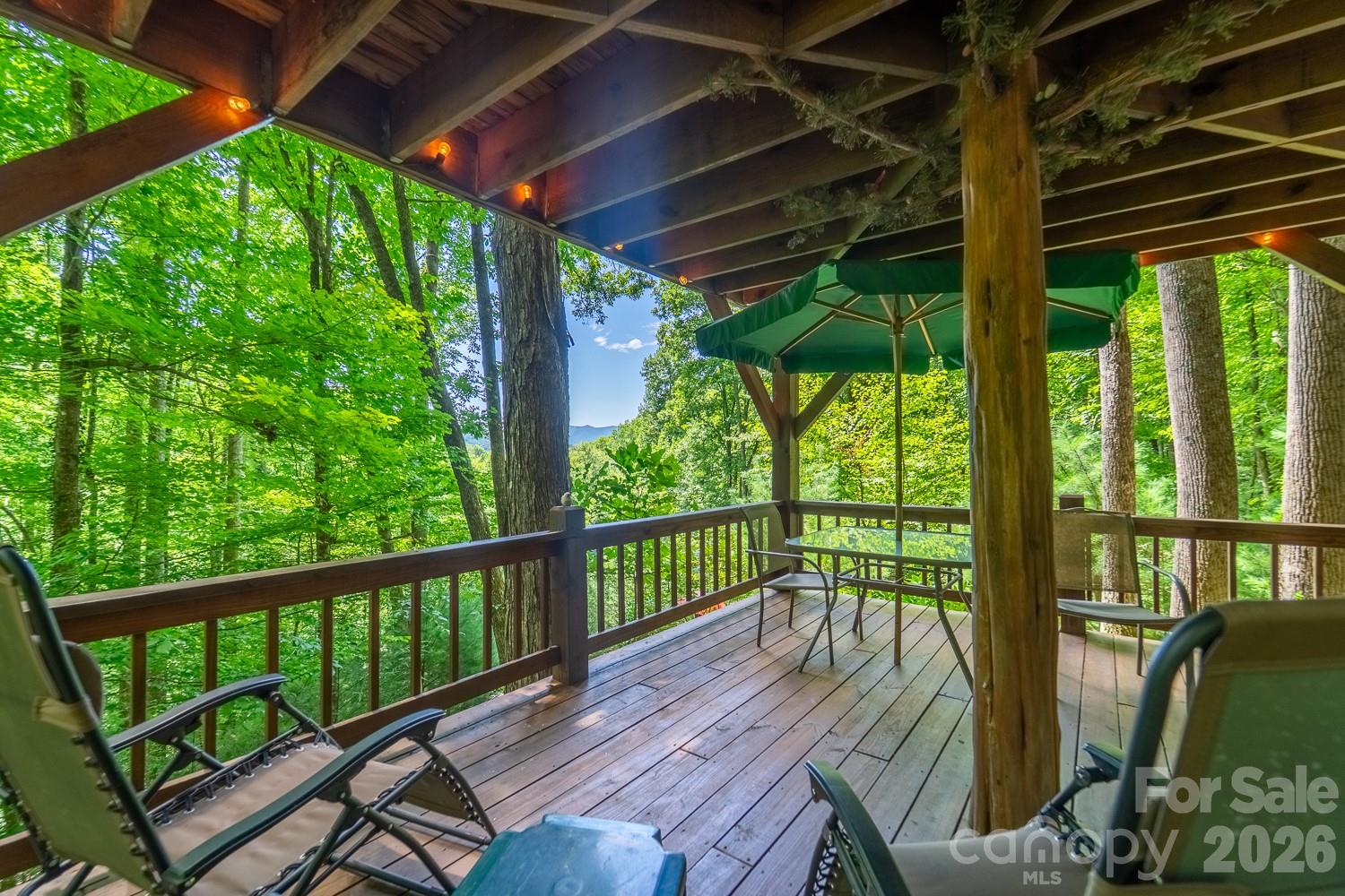 204 Mountain Laurel Drive — Bryson City
